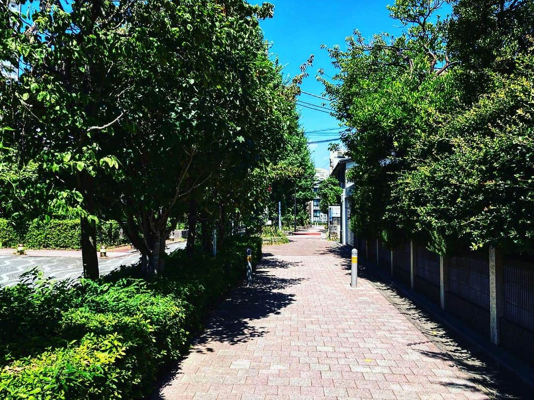 宇田川大輔のインスタグラム：「本日の朝ラン #朝ラン #running #城南エリア」