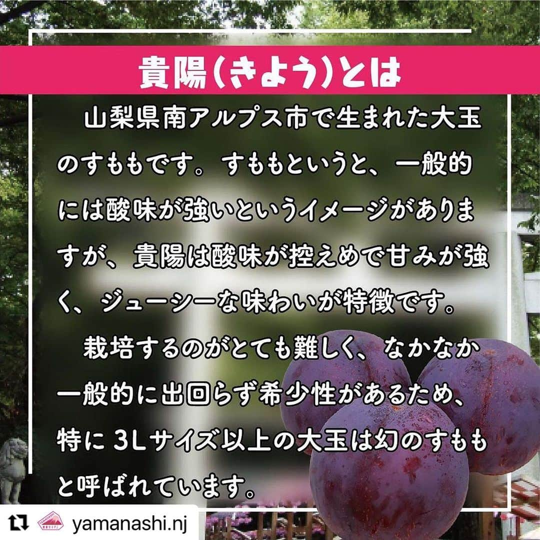 浅利そのみさんのインスタグラム写真 - (浅利そのみInstagram)「都内のお友達の皆さま！ 本日、府中市にある大國魂神社で『すもも祭り』が 開催されます！  https://www.jacom.or.jp/yasai/news/2023/07/230721-68232.php?fbclid=IwAR3S-EhcXZ9lXN8Ja6XE_Hr-Lj1iZoa5n1h-A91QSqtpQHF4sICyM4bWSYg  私も行きたかったのですが、、、 桃の収穫に追われております。 本日今の時点で（10時！）　もう第2ラウンドの収穫終了。 これから第3ラウンドです😆 ということで私は行けませんが😭 ぜひ、遊びに行ってみてください。  メンバーのすももやお野菜、 すももの加工品やスイーツなど 盛り盛りだくさんでお待ちしています！  #Repost @yamanashi.nj with @use.repost ・・・ 📣マルシェですよー🍑🍑🍑 7月23日(日)東京都府中市の『大國魂神社・すもも祭』にて、やまなし農業女子マルシェを出店します😊！🍑  なんと、山を越えて、東京です🗼  みなさん、いかがお過ごしでしょうか？  私たちは、今年はずっと追われています🤣  山梨の果樹農家は、少しずつ栽培時期がズレる、もも、ぶどう、すもも、さくらんぼ…多品目を栽培している方が多いです。しかしながら、今年の春は、花の時期が重なって、バタバタ…収穫時期も重なってきて、例年ならひと息できるところが、もう息をすることも忘れてしまうぐらい、あっという間に毎日がすぎています😂  農繁期、真っ只中！寝る間も惜しい🥹 こんな時期にマルシェ？！ なのですが、今年も密かにスタートしている、大学生とのMiraiプロジェクト！インターンシップ参加している学生メンバーに後押しされて、農業女子メンバーの農産物や加工品を持って、盛り盛り出店することになりましたー👏👏  そして、JA南アルプス市、山梨県にも快く協力いただき、一緒にブースを出店し、すももの高級品種「貴陽（きよう）」を始めとした、山梨県産の農産物、農産物加工品などなどを販売します‼︎  山梨県が生産量日本一を誇る、すももの歴史、最新情報、美味しい食べ方、保存方法、栽培方法についてなどご紹介します！  ところで、すもも祭…なぜ、東京で開催されるの🤔？と思いますよね！  起源は、源頼義・義家父子が、奥州安倍氏平定途中、大國魂神社に戦勝祈願をし、戦に勝ち凱旋の帰途、戦勝御礼詣りのため祭りを起こし、神饌の一つとしてすももを供え、境内にすもも市がたつようになったことが由来となっているそうです！  山梨県は甲斐源氏の縁の地！ すももや桃は、古来より、悪魔祓い、厄除け、悪病除け、災難除けとされ、食すれば長寿をもたらすとされてきた！  きっと、ご縁がある🍑  さらに、すもも祭期間のみに頒布される「からす団扇」「からす扇子」は農作物の害虫を駆除し、五穀豊穣を願うものなんだというお話し。  農業との深いご縁も感じます✨  ご縁を辿り、山梨の美味しい“すももを多くの人に食べて欲しい“という想いが今回の出店につながりました。皆さまとの温かいご縁に感謝です。  お話しをうかがってみて、実は…  江戸時代から続くこのお祭り、年々すもも農家さんの出店が減っているそうです。すももの産地、山梨県南アルプス市も農業者の数、この２０年で半数近く減りました。影響はいろいろなところに出てきているようです🥺  今回のご紹介する、貴陽、市場でも引き合いが多く、山梨にいても、なかなか手にすることが難しい、稀少なものもご用意いただきました😌👏  貴陽を食べると、 すももの概念絶対に変わります！  山梨の美味しいすもも、食べにきませんか😊？みなさんに、お会いできるのを楽しみにしてます!!  ＊＊＊詳細＊＊＊ 7月23日（日）9:30〜16:00 場所：東京都府中市 大国魂神社・参道(ふるさと府中歴史館前)  開催イベント ■JA南アルプス市 貴陽の販売 ■やまなし農業女子の農産物マルシェ 山梨県産の農業女子の農産物、農産物加工品 山梨県の地元スイーツ店のコラボスイーツ アンケート実施で、農産物の無料プレゼント🎁  #すもも #すもも祭り #大国魂神社 #貴陽 #マルシェ #地元愛 #地産地消 #やまなし農業女子 #農業女子 #農業ガール #農業 #農業女子プロジェクト #山梨 #農業 #フルーツ #フルーツ好き #野菜 #野菜好き #こだわり食材 #美味しいごはん #農家さんさとつながりたい #japan #farmer #farmgirl #agriculture」7月23日 10時06分 - asarisonomi