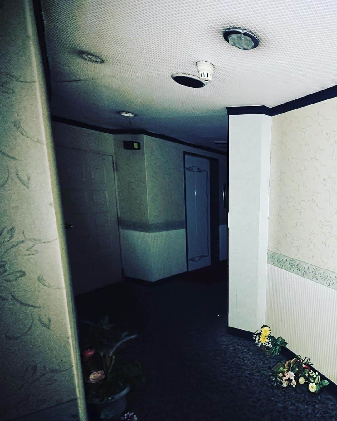 ゾゾゾさんのインスタグラム写真 - (ゾゾゾInstagram)「ホテルL。噂によると、以前このホテルでは飛び降り自殺があったそうで、霊の目撃情報が多発。ホテルが営業中の頃から利用客が霊を目撃する事が多々あったと言う。「本当に幽霊が出るホテル」として地元では密かに恐れられている。#ゾゾゾ #心霊スポット #三重県 #ホテルL」7月23日 10時50分 - zozozo_photos