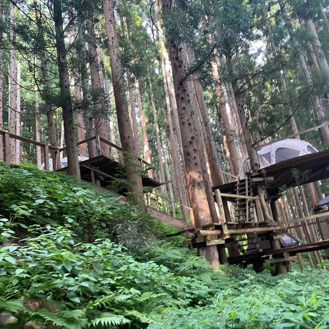 入来茉里さんのインスタグラム写真 - (入来茉里Instagram)「先日、長野県へ 野沢温泉が有名な土地で 豊富な水が生み出した絶景を体験してきました。  まず驚いたのは 住宅のすぐ横で水汲みができる『湧水』がすごく美味しかったこと☺️ その水を持って ブナ林の中をハイキング。 無農薬野菜を収穫して、その場で丸かじり。 源泉かけ流しの野沢温泉では地元の方とふれあい。 夜サウナの水風呂も野沢の綺麗な湧き水で入れるという贅沢な空間。 サウナは @madsaunist  温度、湿度、香り そして星空が素晴らしくて、最高に整いました。  みんなも行ってみたくなった☺️？ @lifefarmingcamp   #lifefarmingcamp #長野 #野沢温泉 #サウナ #温泉 #サウナ女子 #プチ旅行 #森林浴 #sauna #japan #nagano」7月23日 10時57分 - iriki.mari_official