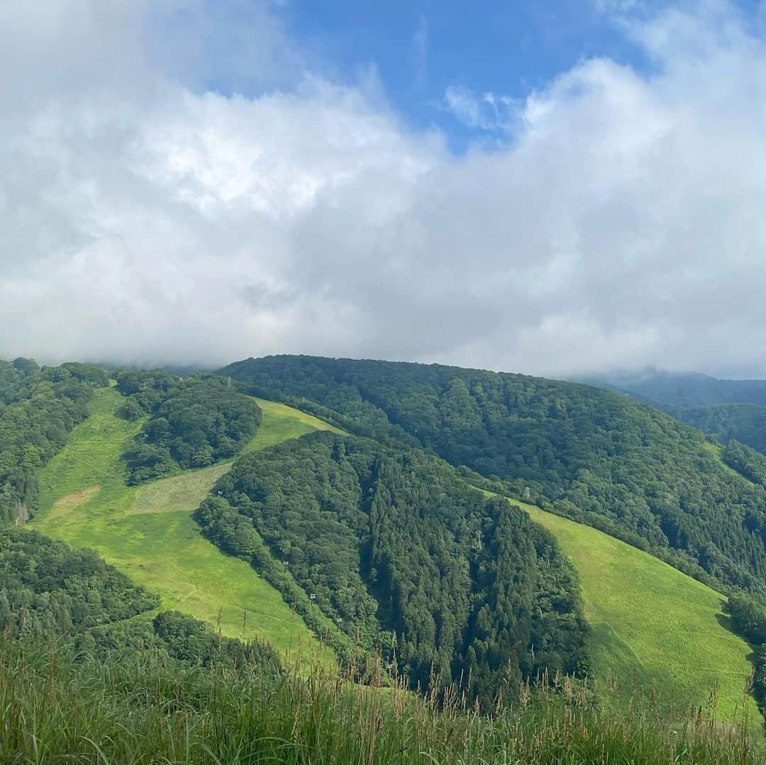 入来茉里さんのインスタグラム写真 - (入来茉里Instagram)「先日、長野県へ 野沢温泉が有名な土地で 豊富な水が生み出した絶景を体験してきました。  まず驚いたのは 住宅のすぐ横で水汲みができる『湧水』がすごく美味しかったこと☺️ その水を持って ブナ林の中をハイキング。 無農薬野菜を収穫して、その場で丸かじり。 源泉かけ流しの野沢温泉では地元の方とふれあい。 夜サウナの水風呂も野沢の綺麗な湧き水で入れるという贅沢な空間。 サウナは @madsaunist  温度、湿度、香り そして星空が素晴らしくて、最高に整いました。  みんなも行ってみたくなった☺️？ @lifefarmingcamp   #lifefarmingcamp #長野 #野沢温泉 #サウナ #温泉 #サウナ女子 #プチ旅行 #森林浴 #sauna #japan #nagano」7月23日 10時57分 - iriki.mari_official