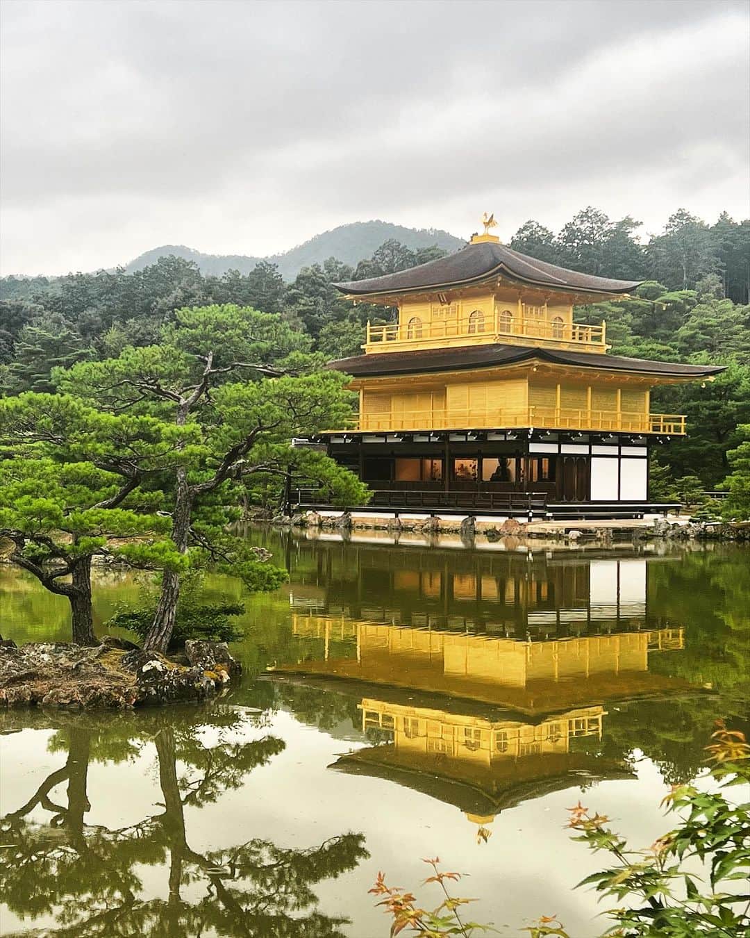 南里沙さんのインスタグラム写真 - (南里沙Instagram)「先日、京都へ打ち合わせに行ってきました。実は初金閣寺😳  #金閣寺 #京都 #kinkakujitemple #kyoto」7月23日 11時26分 - minami_risa