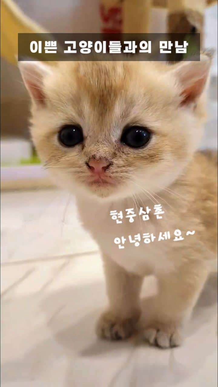 キム・ヒョンジュンのインスタグラム
