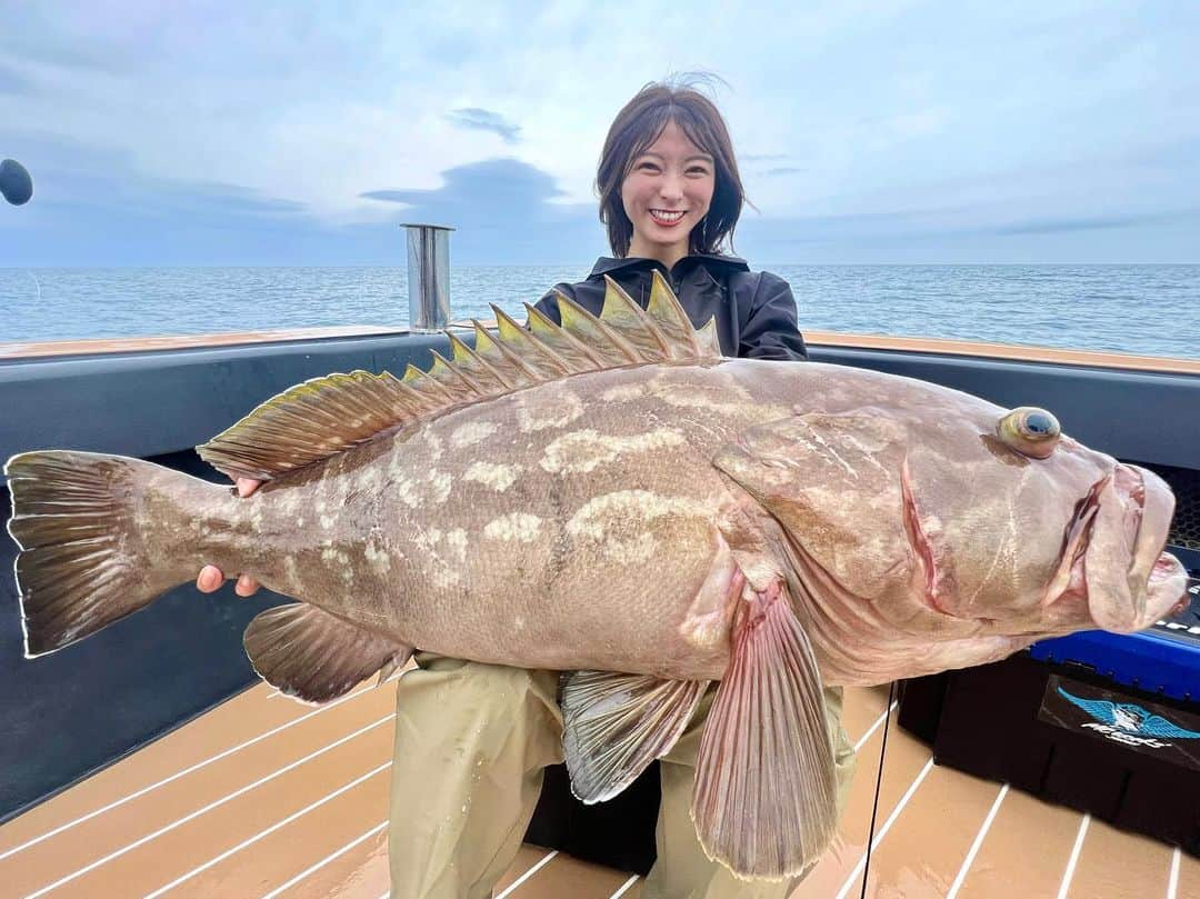 高本采実のインスタグラム：「🎣 5月GWは泳がせで初のクエ釣りへ！  ずっとずーっと、クエが食べたくてやっと釣りに行けた！🥺  エサは生きたケンサキイカ🦑（美味しそう）を ボトムまで落としてイカで魚を誘う🐟  何度かイカを啄むコンコンという当たりがあるも、そこで合わすとバレてしまう🙅🏻‍♀️  エサの数も限られた中、次は絶対掛けてやる‼️と、 コンコンとした当たりを我慢した先に待っていたのは、、、 ゴォーーーンと海に引き込まれる強い当たり‼️  この強い当たりがたまらん、最高！！！  体全体を使って魚を浮かし、ファイトして見えた魚は、、、  大本命のクエでしたー🥹❤️‍🔥  めっっっちゃくちゃ嬉しかった！！  しっかり水浴びもさせてもろたけど、ちょっとイモッたので次は顔逃げないよう正面から受けれるように心掛けます🤣  ほんで浴びて分かったけどSHIMANOのゼロワンレインジャケットの撥水力がハンパないですw  釣れたクエはさすがに家では捌ききれないので 五感割烹 和井さんにお世話になり 捌いて調理もしていただきましたー🐟✨  船長、同船者のみなさん、ありがとうございました🙏🏻✨  次はどんな美味しい魚を釣りにいこかな〜🎣  ⛴️ @sunrise.shinkai   . . . .  #クエ #アラ #泳がせ #玄界灘 #壱岐島 #大物釣り #巨大魚 #サンライズ #sunrise #釣り動画 #釣果 #石斑魚 #grouper #釣り好き #釣りガール #大物ハンター #アングラー #fishinggirl #钓鱼 #高本采実 #あやみん #ayamistagram」