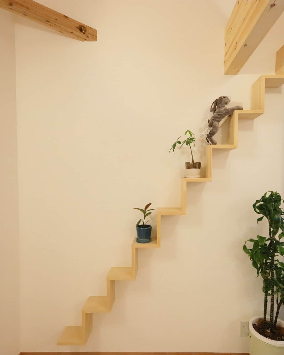 satsumahomeのインスタグラム：「ネコちゃんのお気に入りの場所に🐈  ＿＿＿＿＿＿＿＿＿＿＿＿＿＿＿＿＿＿＿＿＿＿＿＿＿  「体に良くないものは使わない」  漆喰や無垢材などの自然素材だけを使って建てる。 体に安心・安全な無添加の家。 豊中市・箕面市を中心とした北摂エリアで注文住宅を建てる専門工務店です。 ＿＿＿＿＿＿＿＿＿＿＿＿＿＿＿＿＿＿＿＿＿＿＿＿＿＿ さつまのリフォーム ▷@picnicstudio_osaka さつまの不動産　 ▷@sh.fudousan さつまのLINE ▷@sh.lineinfo さつまの工事現場 ▷@sh.factories  #さつまホーム #無添加住宅 #漆喰 #無垢材 #マイホーム記録 #注文住宅 #家づくり #施工事例 #いえすたぐらむ #おうち時間を楽しむ #ルームツアー #後悔しない家づくり #工務店だからつくれる家 #こだわりの家 #高気密高断熱 #設計事務所 #HEAT20 #自然素材の家 #デザイン住宅 #シックハウス対策  ＿＿＿＿＿＿＿＿＿＿＿＿＿＿＿＿＿＿＿＿＿＿＿＿＿」