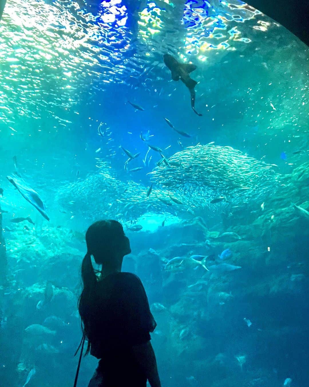岡田佑里乃のインスタグラム：「ずっと行きたかった江ノ島水族館！ どうしてカワウソいなかったの、、？🦦」