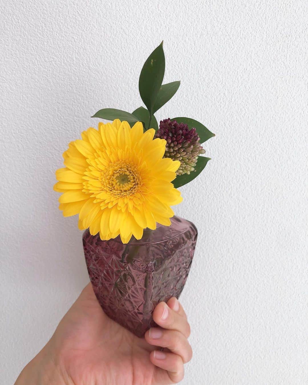 立花このみのインスタグラム：「. ひまわりじゃなくてもかわゆい💛 . . #夏 #お花 #Bloomee #お花のある暮らし #ブルーミー #お花の定期便 #flowers #flower #flowerpower」