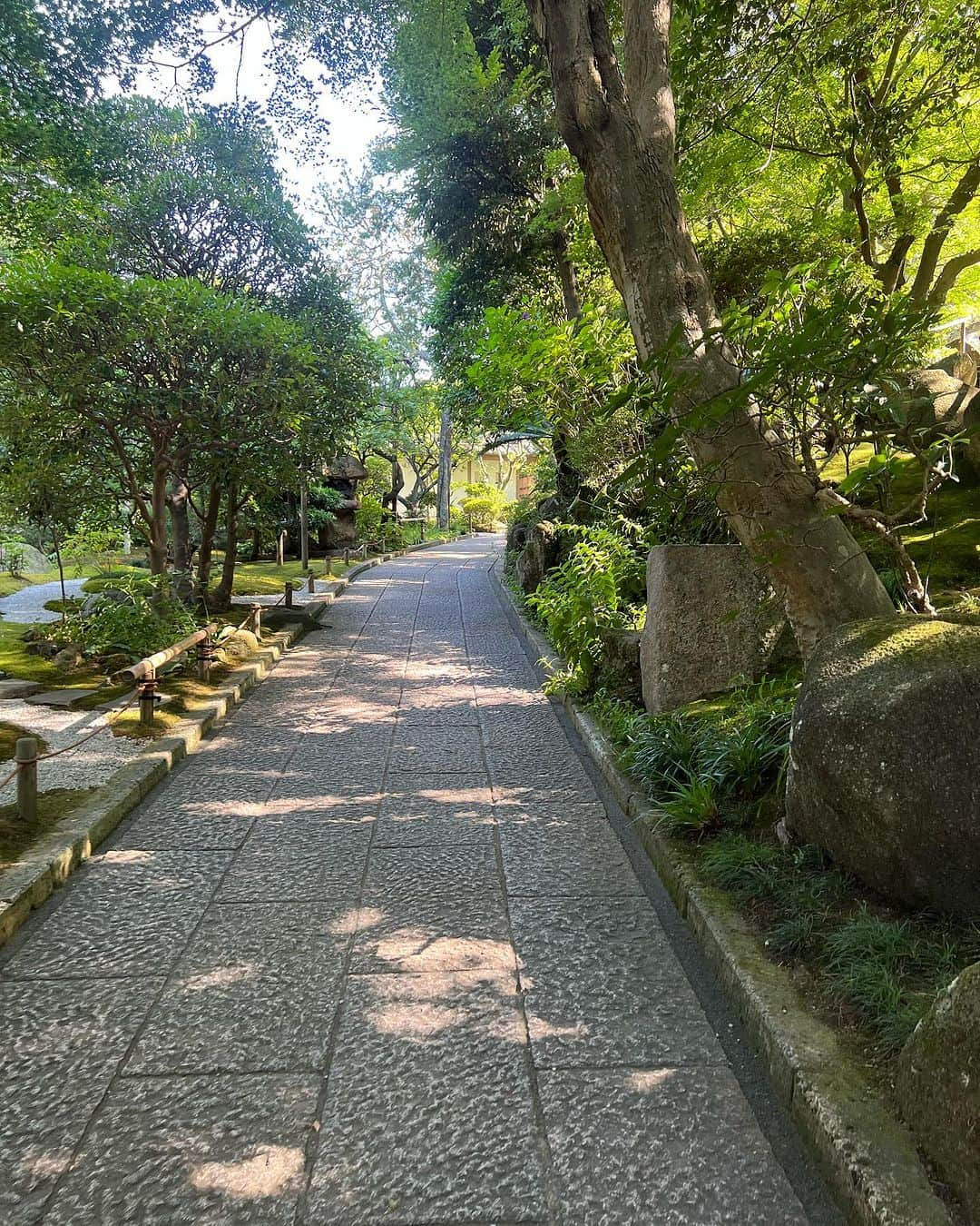 泉千尋さんのインスタグラム写真 - (泉千尋Instagram)「・  報国寺の竹林。 一気に空気感が変わる空間🎋  ワンピは @goinluck.jp 👗  美しい竹林癒された🎋  ・ ・ ・  #pr#報国寺 #報国寺の竹林 #竹林#夏の風物詩#夏#鎌倉#鎌倉観光 #鎌倉散歩 #鎌倉デート #鎌倉散策 #癒される風景 #癒される空間 #ワンピ#ワンピースコーデ #kamakura#japan#japan_of_insta #japantravel #japantrip」7月23日 14時24分 - izumi.chihiro76