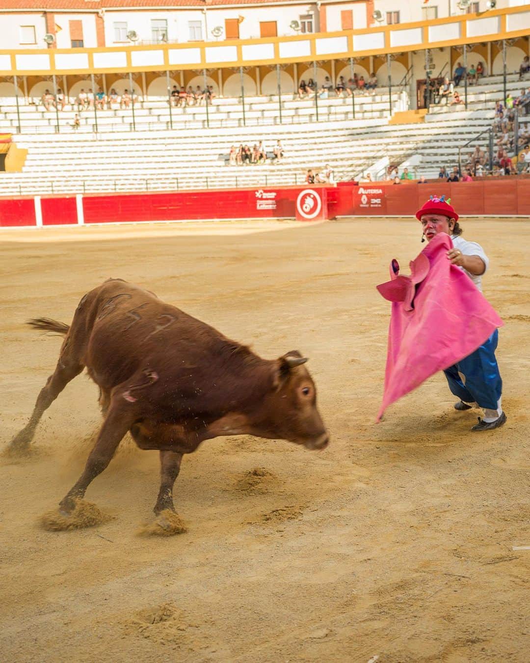 ニューヨーク・タイムズさんのインスタグラム写真 - (ニューヨーク・タイムズInstagram)「Teruel, a town in eastern Spain, is on the front line of a culture war with political overlays between conservative defenders of bullfighting traditions and liberals who find them brutal, retrograde and, in the case of comic bullfighting shows in which some of the performers with achondroplasia take on smaller 1-year-old bulls, illegal.  For its annual fiesta this July, Teruel  has rejected a law passed in May by Parliament that seemed to prohibit comic bullfights. The law banned “shows or leisure activities” that use a disability “to provoke public mockery, ridicule or derision.”  Felipe Orviz Orviz, a lawyer and activist who also has achondroplasia, a bone growth disorder that causes the more common type of dwarfism, threatened legal action if the show were to proceed. He recounted how people have mistaken him for a performer and shouted, “Look at the dwarf bullfighter,” at him during fiestas. The shows “are illegal,” he said.  But defenders of the show cited another clause of the law, which states that “people with disabilities will participate in public shows and recreational activities, including bullfighting, without discrimination.”  Benito Ros, an official of the Aragon region who is based in Teruel, argued that the comic bullfighters were getting laughs for their antics, not their stature, and that to ban them was to discriminate against their right to work.  Read more about the divide over bullfighting traditions at the link in our bio. Photos by @samuel_aranda_studio」7月24日 1時27分 - nytimes
