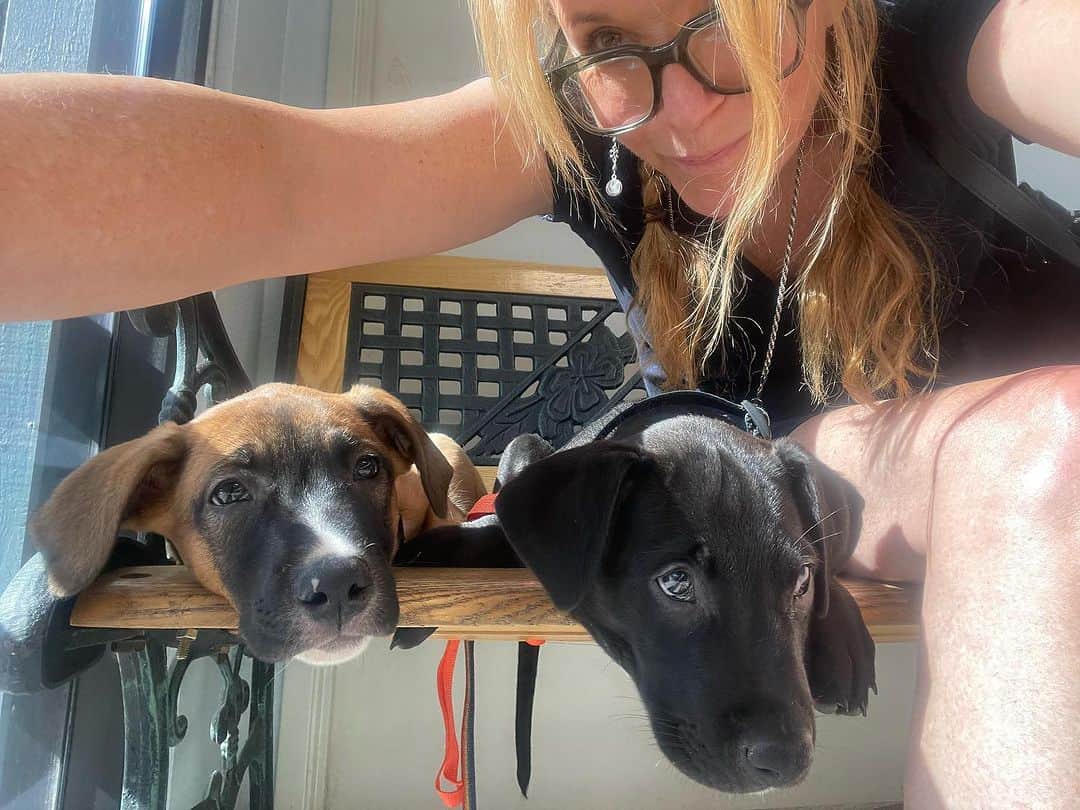 リー・トンプソンのインスタグラム：「What do we do when  we lost our beloved dog Blue? We got to puppies!! Please welcome Walter and Sophia! Named after the stars of @howiedeutch film Grumpier Old Men. #sophialoren and #waltermatthau I hope they have illustrious comedy careers like their namesakes. Thank you for your help @itsmichaelcimino We are so happy. #adoptdontshop🐾」