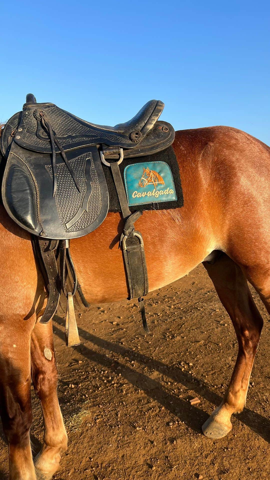 イザベラ・サントーニのインスタグラム：「Explorar Noronha à cavalo 🥹🐎 Uma experiência única!   Foi um passeio incrível, carregado de experiência e com muita, mas muita beleza!   Ilha do Amor conseguiu ficar ainda mais perfeita! Uma das melhores sensações da vida 💕  #Cavalgada #Noronha」