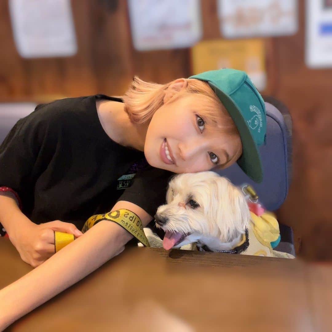 霜月めあのインスタグラム：「めあめあふぁみりー🐕❤️ . . .  #霜月めあ #めあめあ #model #sexy #selfie #animegirl #셀카 #셀스타그램 #패션스타그램 #데일리 #asiangirl #cosplay #좋아　 #follow #like #tokyo #ootd #自撮り界隈 #自撮り女子 #sexybody #love #맞팔 #tagsforlikes #japanesegirl #女孩 #发#爱 #instadaily #グラビア #日系穿搭」
