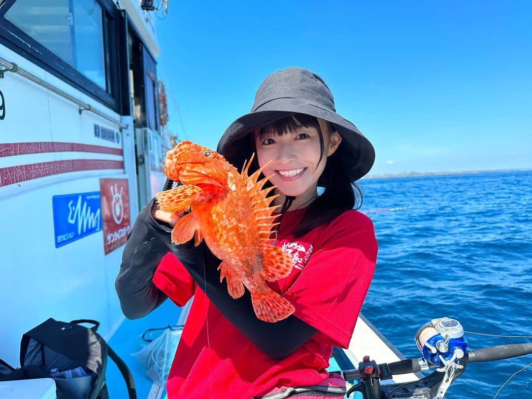 百川晴香さんのインスタグラム写真 - (百川晴香Instagram)「えいあん丸さんの鬼カサゴ大会夏の陣に参加して来ました🎣💕  初鬼カサゴでしたが…  船別１位取れました🎣✨ めっちゃうれしいいいい❤️  数は3匹だったんですが２匹が大きめな鬼カサゴGet出来たので1位取れました🥇✨  ハマっちゃいそうです！ 鬼カサゴ👹❤️   #えいあん丸 #三崎港 #釣り #鬼カサゴ #釣りガール #釣り女子 #大会 #japanesegirl #idol #followme」7月23日 16時35分 - momokawaharuka