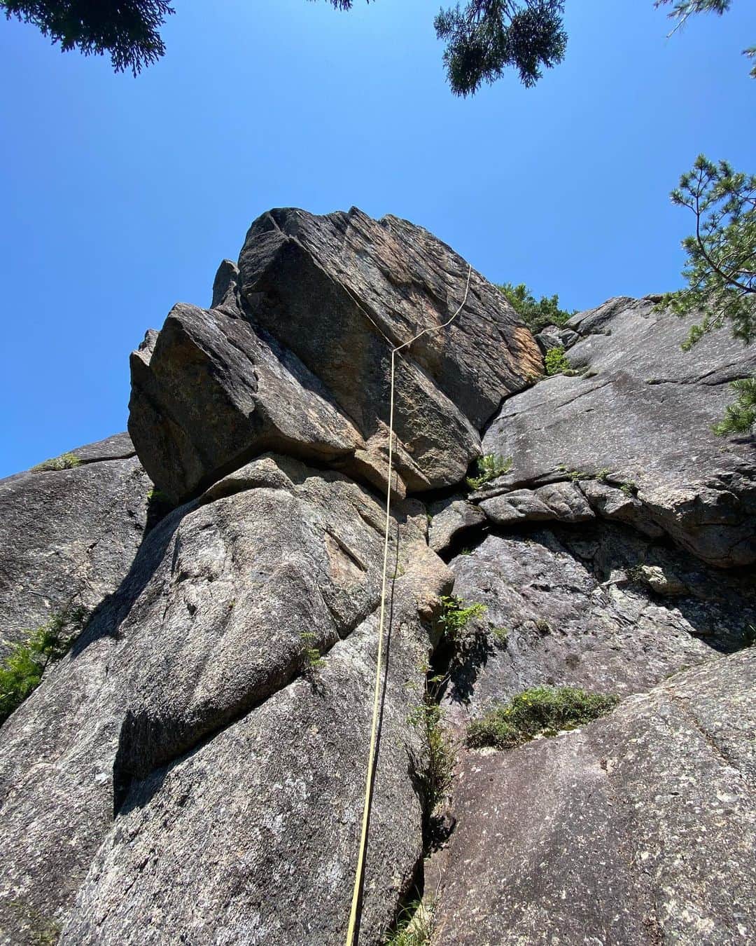 安間佐千さんのインスタグラム写真 - (安間佐千Instagram)「Gem Prosciutto 5.13b FA  小川山の八幡岩から見るとまるで原木生ハムのように見える美しい前傾フェースがある。20メートルはありそうな途切れることのない前傾壁は小川山(日本の花崗岩？)では珍しく、良くぞ今日まで触れられることなく残ってくれていた！と感動する。通称"生ハム"と呼んでいたそのプロジェクトを今夏から開拓し始めた。遠目からの美しさとは裏腹に岩茸がびっちり生えており、2日がかりの大掃除。懸垂時は5.12後半と予想していたが、登ってみると昨年開拓した同じエリアにあるCompas 5.13aより難しい気がする。トライ初日はホールドが欠けたりして完登ならず。そして先日登り切ることができた。様々なタイプの核心が連続し、持久力が試される。最後まで押し切る精神力も必要。素晴らしい一本だと思う。  以下ルート詳細 ルートはボルト7本と終了点。中間部の水平クラックと最後のスラブではナチプロを使用。最後のボルト後、僕は自然とカンテから右のクラックに吸い込まれるので、そちらに逃げている。終了点はテラスに上がって少し歩いた先の岩にある。50メートルロープがあれば、地面まで降りられる。 ※激しくフォールすると右のスラブに擦れる可能性あり。 ※グレードは夏ということもあり、暫定的。  使用ギア:カーブナッツオレンジ、C1  Gem Prosciutto 5.13b FA  A beautiful face that looks like a prosciutto when seen from Hachiman-iwa, with an uninterrupted 20 meters of unbroken slightly overhanging wall. I was impressed that it had remained untouched until today in Ogawayama where well developed area! This summer, I began to explore this project. Despite its beauty from a distance, it was covered with rock mushrooms, and it took two days to clean it up. When we rappelled, we expected it to be in the latter half of 5.12, but when we climbed it, we felt it was harder than Compas 5.13a, which we pioneered last year in the same area. On the first day of climbing, I couldn't finish it due to some broken holds. The other day, I was able to FA. The route has various types of cruxes that test your endurance. It also requires mental strength to push through to the end. I think it is a wonderful route!  Here are the details of the route. The route consists of 7 bolts and an end point. The horizontal crack in the middle and the last slab use cam and nuts. After the last bolt, I naturally get sucked into the crack on the right from the corner, so I run that way. The end point is on a rock a short walk up to the terrace, with a 50-meter rope you can descend to the ground. ※If you fall too long, you may scrape the slab on the right. ※The grade is tentative due to the summer season.  Gear: Curved Nut Orange, C1  Photos by @climb_with_himalaya   @adidasterrex  @fiveten_official  @petzl_official  @newhale_japan  @newhale_climbing  @carbongrip  #アルテリア  #小川山  #鳥丸岩峰群 #開拓」7月23日 16時45分 - sachiamma