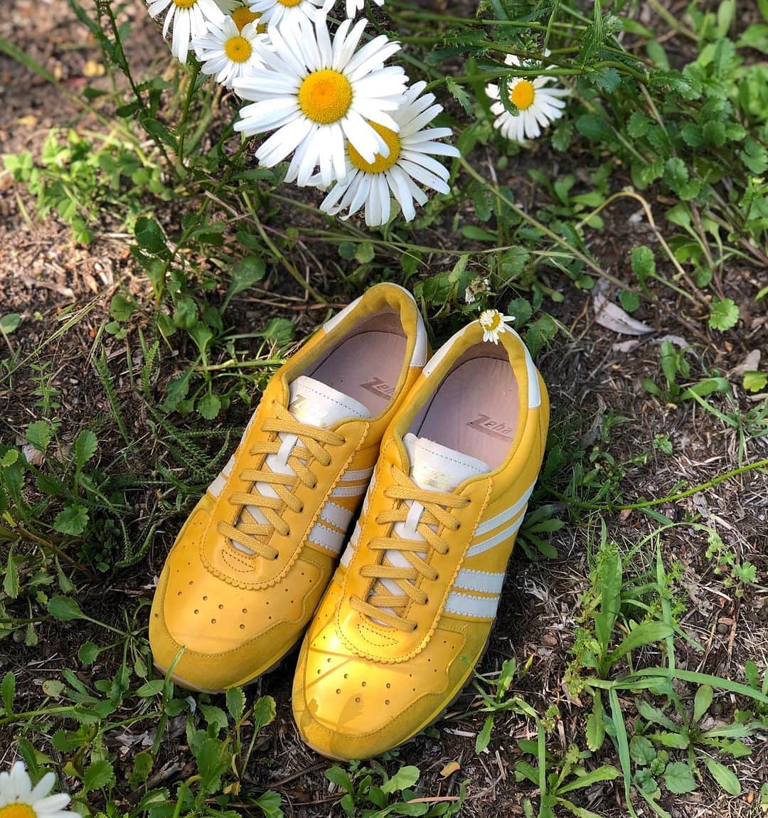 ツェハのインスタグラム：「New Marathon Kollektion #zeha #zehaberlin #berlin #berlincity #berlinshopping #shuhe #sneakers #calzature #footwear #chaussures #shoes #vintage #vintagestyle #sport #vintagesport #ddr #marathon #zehamarathon #retrosneakers #maratona #gelb #yellow #giallo #jaune  #amarillo」