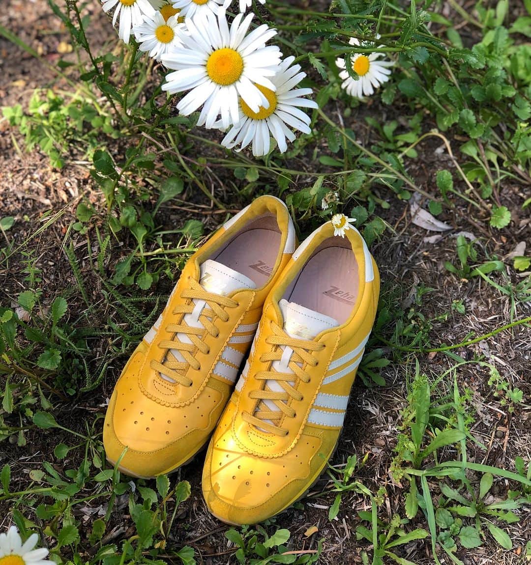 ツェハのインスタグラム