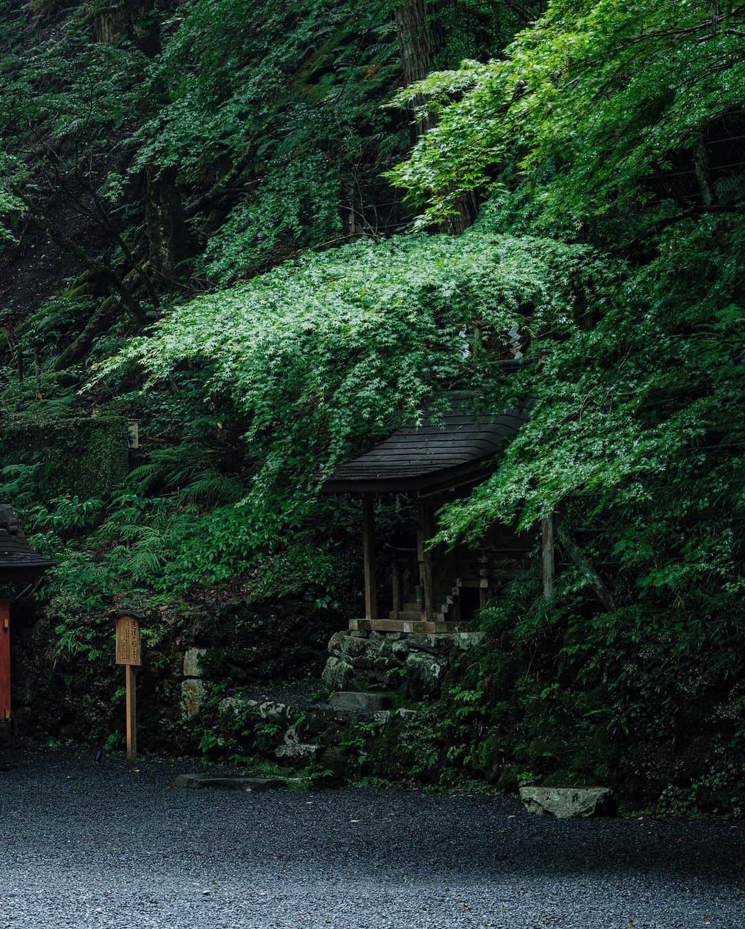 SHOCK EYEさんのインスタグラム写真 - (SHOCK EYEInstagram)「夏の深緑に包まれた京都、貴船神社⛩️  水の神様を祀る貴船神社のその存在感、、 特に奥宮で感じる雰囲気は畏怖すらも感じるくらい。  これより奥に行くと鞍馬天狗で有名な霊山、鞍馬山があったりと、 霊験あらたかな場所✨  初めて訪れた時、自然と、 わ、すごいなあ、、 と声が洩れてしまった。  神社好きなら一度は訪れてもらいたい場所だよ^ ^  #貴船神社 #京都 #鞍馬山 #shrine #kyoto」7月23日 17時18分 - shockeye_official