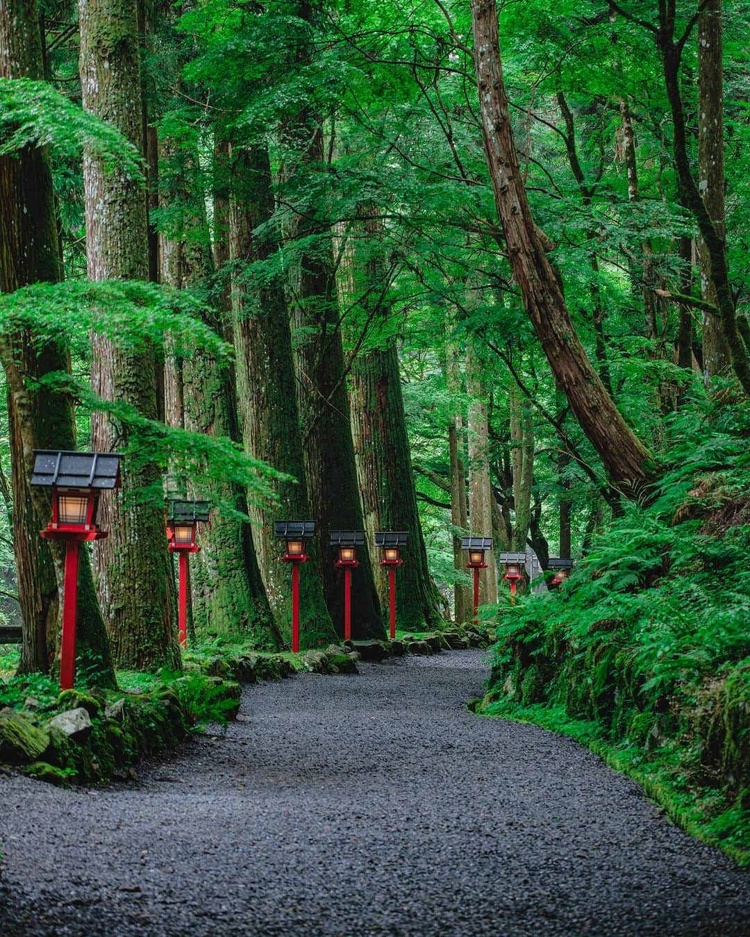 SHOCK EYEさんのインスタグラム写真 - (SHOCK EYEInstagram)「夏の深緑に包まれた京都、貴船神社⛩️  水の神様を祀る貴船神社のその存在感、、 特に奥宮で感じる雰囲気は畏怖すらも感じるくらい。  これより奥に行くと鞍馬天狗で有名な霊山、鞍馬山があったりと、 霊験あらたかな場所✨  初めて訪れた時、自然と、 わ、すごいなあ、、 と声が洩れてしまった。  神社好きなら一度は訪れてもらいたい場所だよ^ ^  #貴船神社 #京都 #鞍馬山 #shrine #kyoto」7月23日 17時18分 - shockeye_official