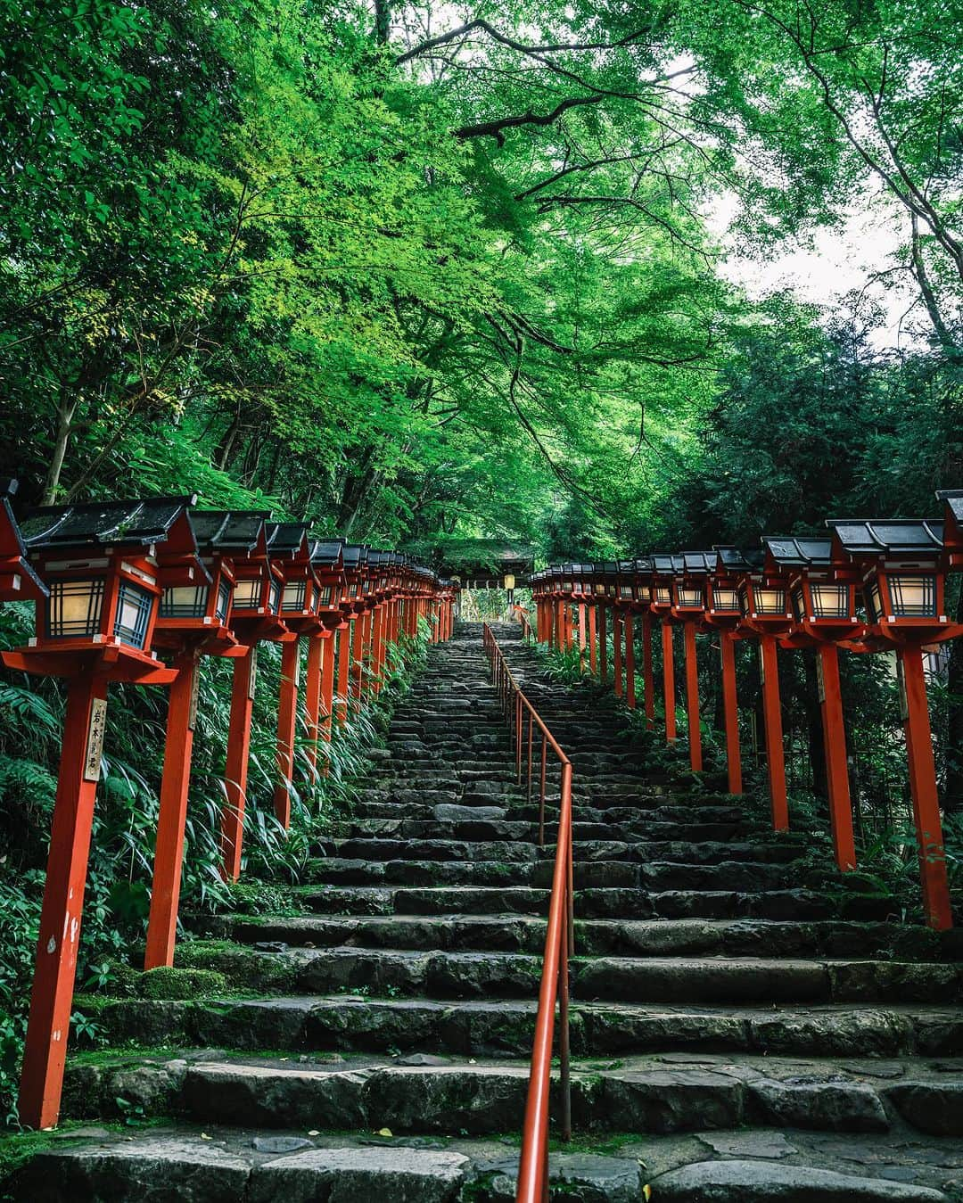 SHOCK EYEさんのインスタグラム写真 - (SHOCK EYEInstagram)「夏の深緑に包まれた京都、貴船神社⛩️  水の神様を祀る貴船神社のその存在感、、 特に奥宮で感じる雰囲気は畏怖すらも感じるくらい。  これより奥に行くと鞍馬天狗で有名な霊山、鞍馬山があったりと、 霊験あらたかな場所✨  初めて訪れた時、自然と、 わ、すごいなあ、、 と声が洩れてしまった。  神社好きなら一度は訪れてもらいたい場所だよ^ ^  #貴船神社 #京都 #鞍馬山 #shrine #kyoto」7月23日 17時18分 - shockeye_official