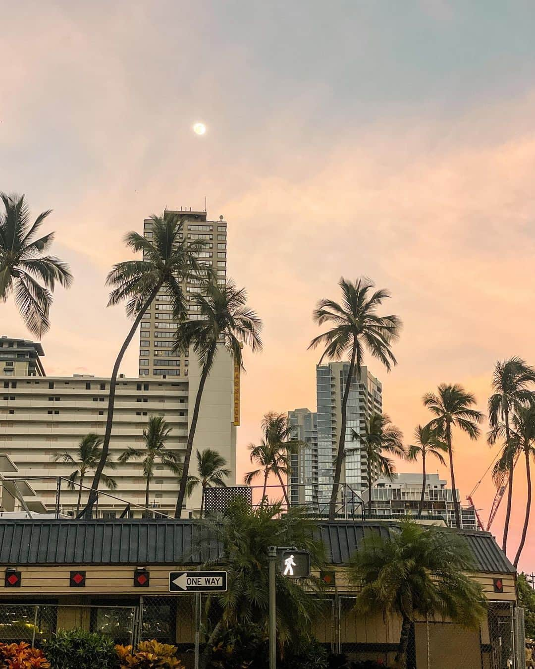 羽石杏奈さんのインスタグラム写真 - (羽石杏奈Instagram)「Visiting my second home is like recharging myself❤️✨ #hawaii  1年ぶりのハワイ、充電時間のような日々を過ごしてました🌞  今まで60ヶ国くらい訪れていろんな島も旅したけど、 私にとってハワイの環境は ”パラダイス”って言葉がぴったりの場所だなあって 久しぶりだからこそハワイの良さを改めて実感した🫶  🌼今のハワイmemo ☞ 世界中から人が訪れていて、今までに見たことないくらいの混み具合 ☞ 感覚的に全体10〜20%くらい物価上昇(えのき茸8ドルに驚愕) ☞ 円安、痛い(クレジットカードのレートは148円近い日も) ☞ 快晴が多くて昼間は暑すぎたり、ハワイの夏っぽい(でも風は強いかも) ☞ 食べ物の甘さが強烈。笑 行く予定のある人、ぜひ参考に♡」7月23日 17時22分 - hawaiianna913