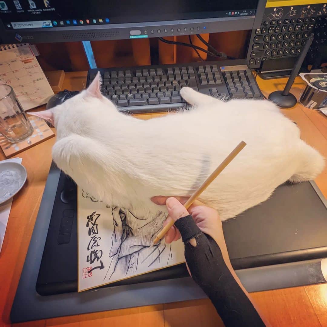岡田屋鉄蔵のインスタグラム：「おわかりいただけるだろうか。人差し指一本で4.5キロを抑えております。たのむ、乾くまでうごくな」