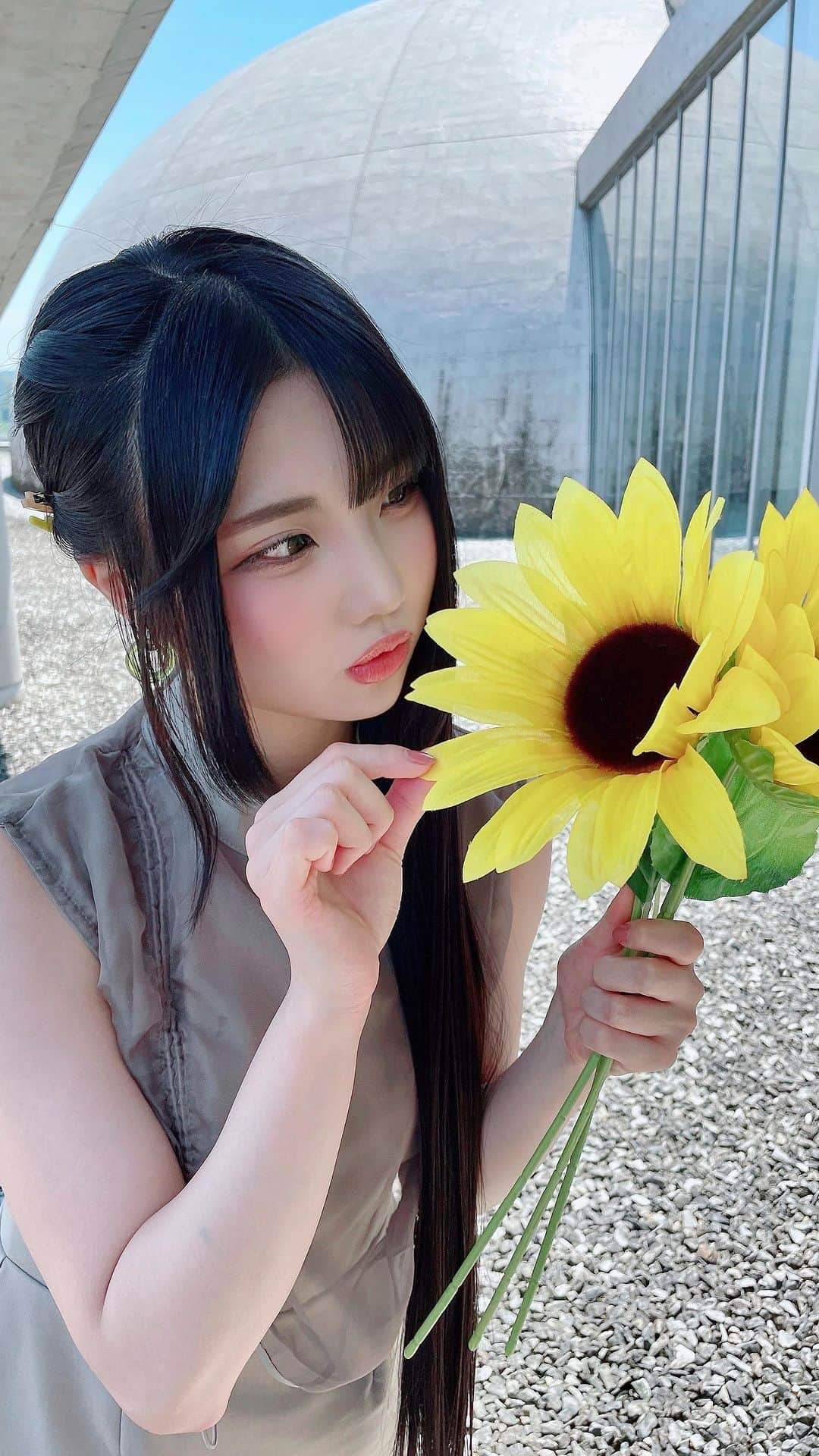 北川愛乃のインスタグラム：「.  【愛してるって言われたことがない】オフショット🌻 イメージシーン撮影で 何したらいいか分からなくて 花びらちょんちょんor匂い嗅ぐのしかしてない、、😅💦  #ske48 #idol #teams #楽曲 #愛してるって言われたことがない  #mv #オフショット #ひまわり」