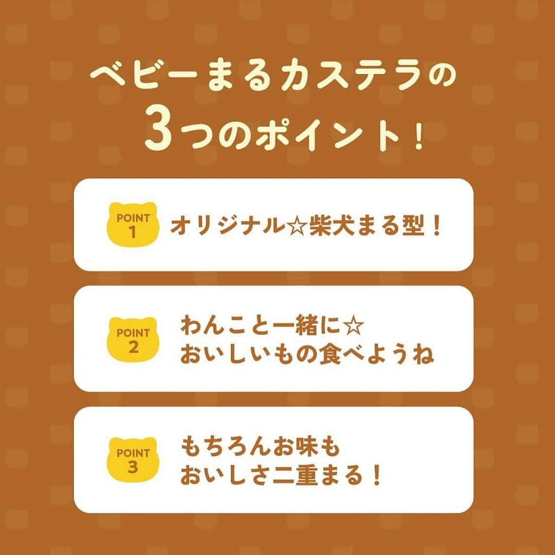 まる（まるたろう）さんのインスタグラム写真 - (まる（まるたろう）Instagram)「みんな聞いて！！もう一つまるの夢が叶う時が来たの〜😝✨ まるのベビーカステラ屋さんが爆誕します！ わんこも食べられるベビーカステラも用意してるから遊びにきてね #8月1日からプレオープン #みんな一生懸命練習中 #ソフトクリームもあるよ #ころもくんは待ちきれない様子 #ベビーまるカステラ #わんこ連れ大歓迎 #完全手作り #通販は気長に待っててね @gallerymarusan」7月23日 18時12分 - marutaro