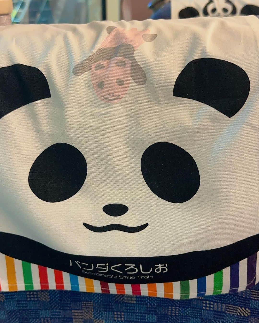 やのぱん（矢野ひろし）さんのインスタグラム写真 - (やのぱん（矢野ひろし）Instagram)「見つけた！ なんか、嬉しいやつ*\(^o^)/* パンダの赤ちゃん♪  #くろしお　#パンダくろしお #赤ちゃん　#パンダの赤ちゃん」7月23日 18時34分 - yanopan1103