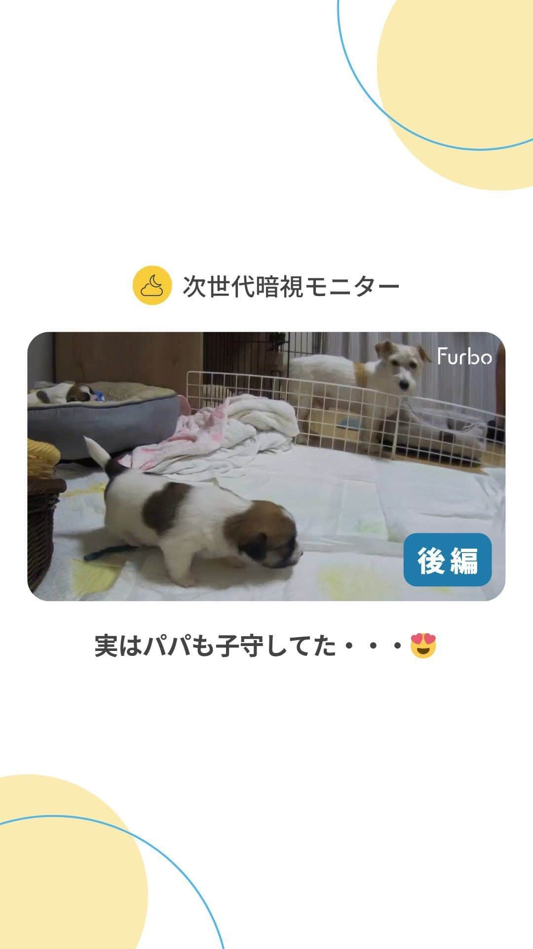 Furbo ドッグカメラのインスタグラム