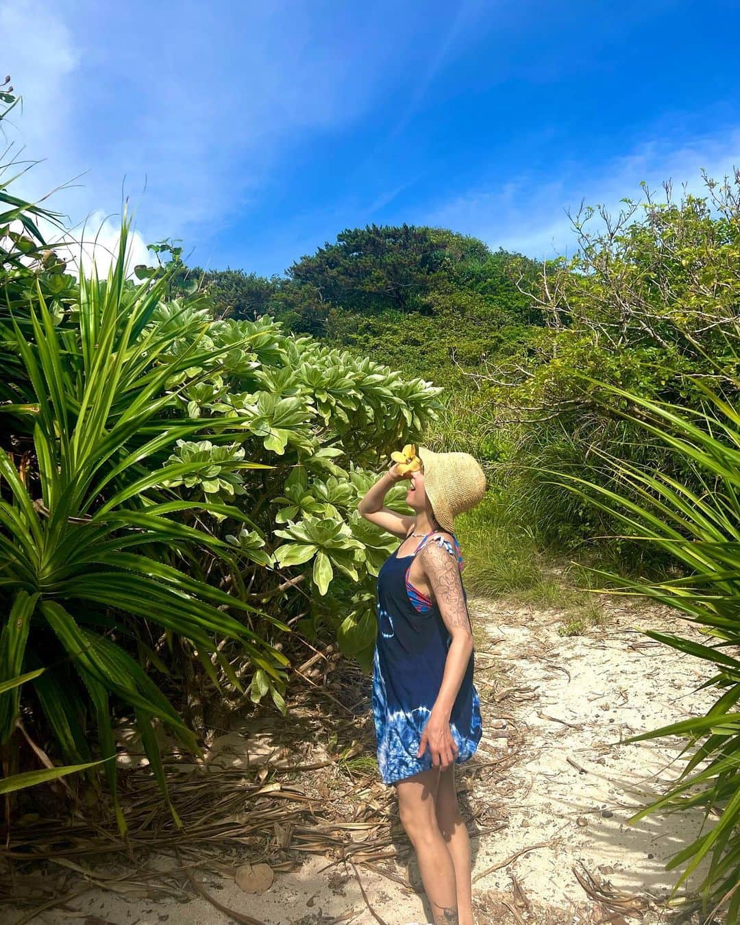 Rilyのインスタグラム：「自然を感じた夏🌴 また沖縄行きたい☀️ ． ． ． #沖縄#沖縄旅行」