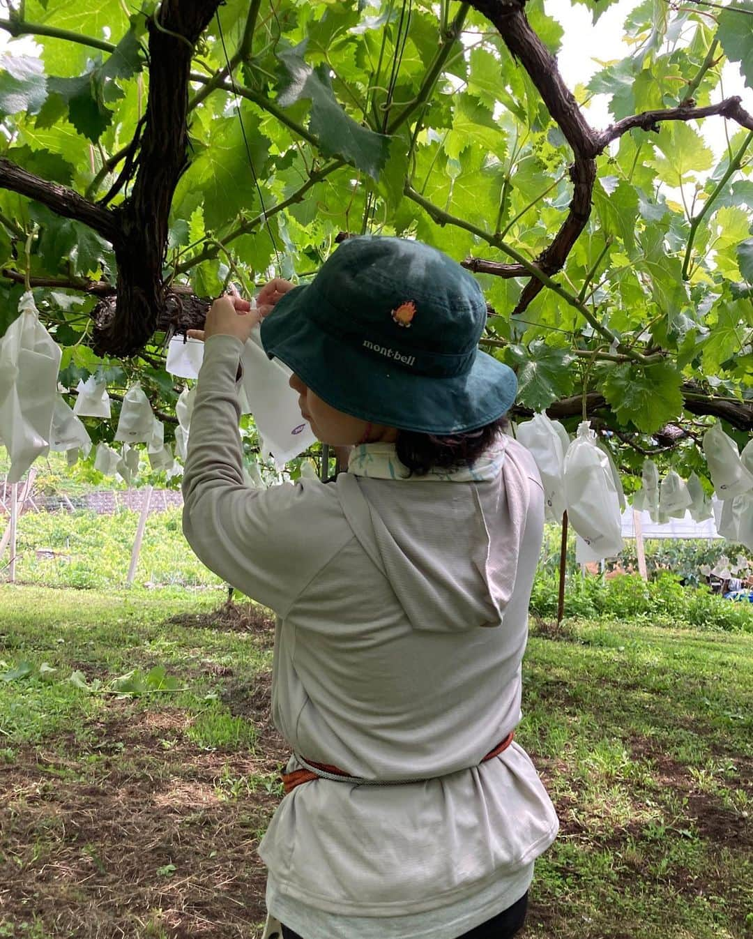 斎藤なりさんのインスタグラム写真 - (斎藤なりInstagram)「人生の舵を大きく切りました🌿  まだ具体的なご報告は出来ませんが さいとう、多拠点生活になります！ 過ごす環境・相手が変わり、言葉使いが変わりました！  周囲から「無謀すぎる！」とドン引かれる多拠点生活をこんなにも軽やかに挑戦できたのは、ひとえに共に多拠点となった友人達のお陰。あなた達を思い出さない日はありません。友人というよりは姉妹だな🦌  紆余曲折、山あり谷ありを乗り越えて 泣くほど嬉しかった29歳誕生日 無事迎えられた事ここにお伝えします！」7月23日 22時00分 - nari_eye