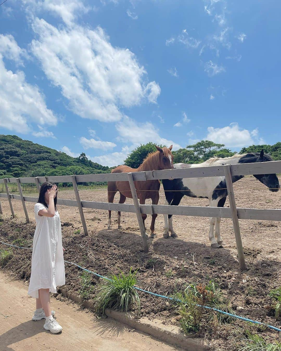 野口真由さんのインスタグラム写真 - (野口真由Instagram)「ジブリの世界のような島だった🕊‪🌱‬  #大島 #福岡 #宗像 #宗像大社 #砲台跡  #風車展望台 #ホワイトコーデ #白ワンピ」7月23日 19時46分 - ngc_mayu