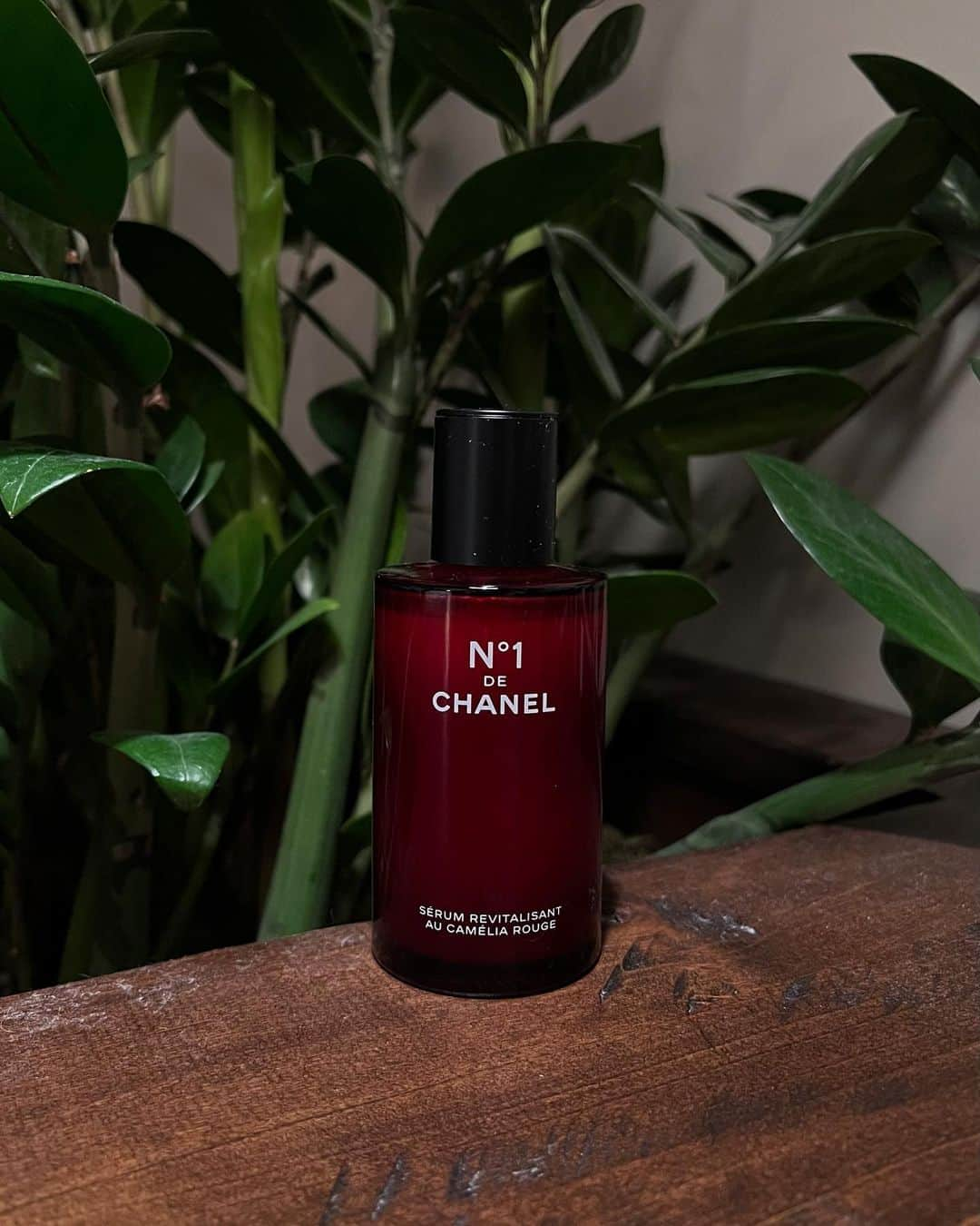 ペ・ユニョンのインスタグラム：「여러분 😺 저 다음주에 @chanel.beauty.korea 와 함께 태국으로 트립을 떠나요 ✈️ 지난 2달 동안 레드 까멜리아 세럼을 출장길에도 함께하면서 꾸준히 사용 해보았는데요 !  이번 여행은 그런 레드 까멜리아 세럼과, 레드 까멜리아를 좀 더 알아보러 가는 여행이랍니다 제가 사용하며 느낀 점과 여행을 통한 이야기들도 포스팅으로 공유 할 예정이니 많은 기대 부탁해요 저는 일단 넘 기대돼요...🌺♥️  #MyN1deCHANELDiary #N1DECHANEL #레드까멜리아세럼」