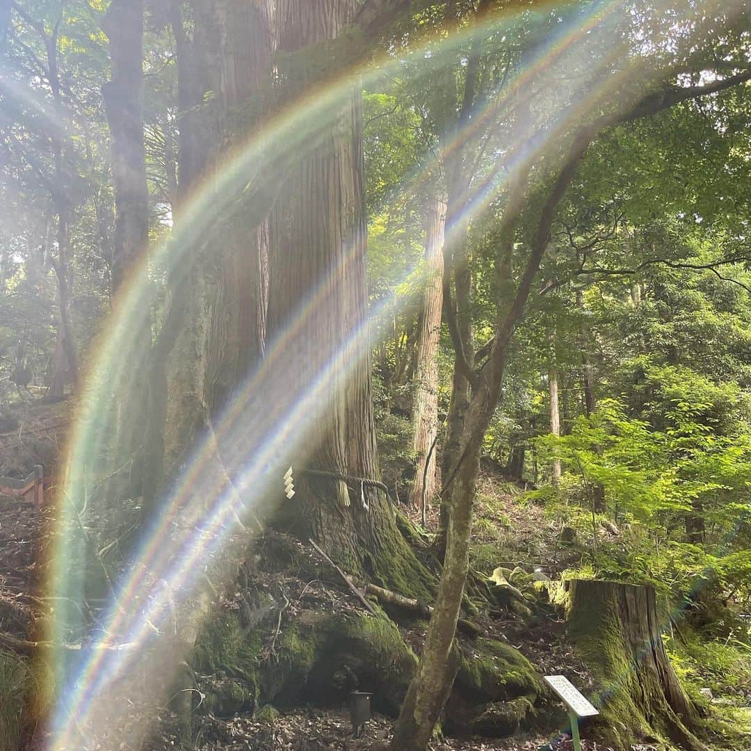 黒沢美怜さんのインスタグラム写真 - (黒沢美怜Instagram)「『貴船神社』  記事が消えてしまって順番前後しまくりですが😂💦  京都2日目は足を伸ばして叡電に揺られて貴船まで🎵  人がたっくさんの市内から打って変わってのんびりしてトトロがいそうな森林が広がる素敵なところ✨  涼しいとは聞いていたけれどこんなに気温違うのってくらい涼しくて川の風が気持ちいい😆😍  すごい坂道を登っていざ三社参り⛩️🔥  貴船神社は手前から 本宮・結社・奥宮と続くのですが、  本宮→奥宮→結社とお参りするのが正式な参拝のようなのでその順にお参りしてきたよ☺️✨ （伊勢神宮最初行ったとき何度も確認したのに一つ間違えたので今回は入念に✨）  とにかく貴船はパワーがすごいです✨  空気も綺麗で風も気持ちよくて水も冷たくて木々は不思議なものも沢山あって🌲✨  こういうのが"気をもらう"っていうのかなぁって凡人でも感じるほど元気になるし、また絶対来たい！って思える場所になりました🌟  ただ、、、、  坂道はとんでもないです😭💦  本当にとんでもないのでスニーカーや歩きやすい靴をお勧めします🙆‍♀️✨  貴船神社の写真はまだ沢山あるのでまた写真ポストでお裾分けするね🤗💕  #貴船神社 #貴船神社で水占い #貴船 #貴船川床 #貴船神社本宮 #貴船神社⛩ #神社巡り #神社巡り⛩ #⛩️ #神社仏閣巡り #パワースポット #京都旅行 #京都旅行 #京都パワースポット #京都パワースポット巡り #くろたび」7月23日 20時11分 - kurosawamirei