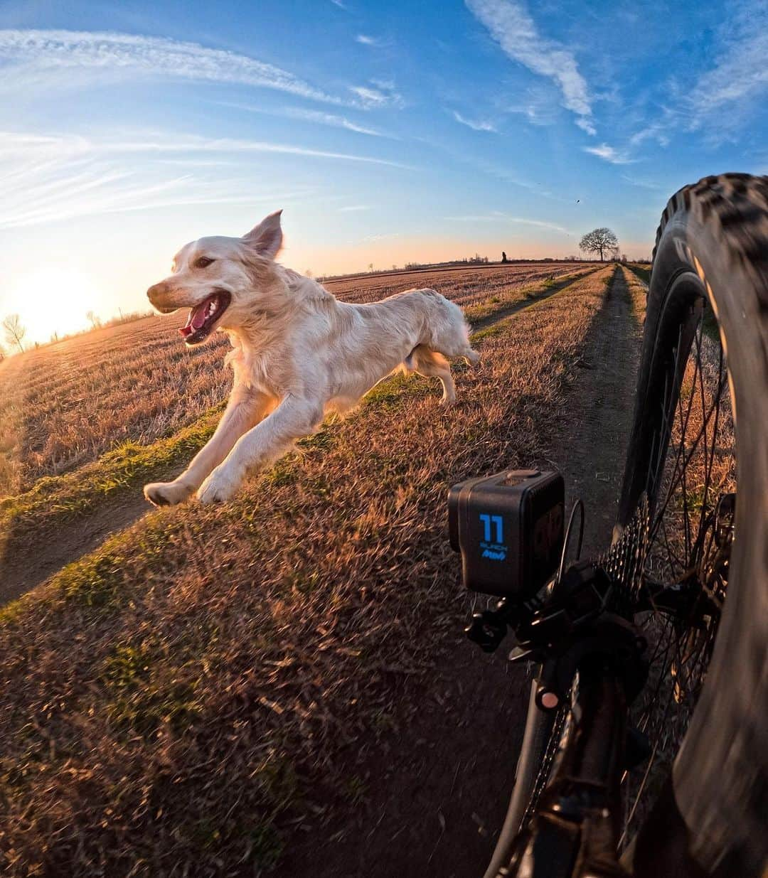 GoProさんのインスタグラム写真 - (GoProInstagram)「期間限定のお得なキャンペーン🤑 GoPro史上最もパワフルなコンパクトカメラ #GoProHERO11 Black Miniが今なら¥31,800で超お得！ 📷 #GoProアワード 受賞者 @lucamartinis ・ ・ ・ #GoProIT #GoPro #GoProJP #GoProMoto #HyperSmooth #ショッピング #セール #お買い得 #キャンペーン」7月23日 20時36分 - goprojp