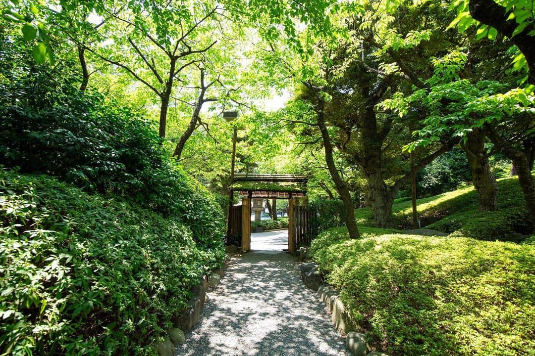 八芳園さんのインスタグラム写真 - (八芳園Instagram)「#梅雨明け を迎えた関東地方。  二十四節気では #大暑 の頃となりました。 大暑とは、一年で最も厳しい暑さが感じられる時期です。  緑に包まれた日本庭園への玄関口「木戸門」。  この門を潜るときには、少しだけ頭を下げる必要があります。  これは、「全ては礼に始まり、礼に終わる」という武士道の規範を反映し、屋根が意図的に低く建てられているためです。  「木戸門」の周りには河津桜が植えられており、早春には満開の桜に小鳥たちが訪れる華やかな景色が広がります。  四季折々の庭園の風景を、お愉しみください。  “Kidomon”, the entrance to the Japanese garden. This gate marks the entrance to our garden, but it also serves for another purpose. When you pass through this gate you will find that you will need to bow your head as the roof was deliberately built lower to reflect the Samurai Bushido code which states: “Everything starts and ends with a bow”.  The “Kidomon” is also a popular photo spot due to the Kawazu-Sakura that grow near the gate. This type of cherry tree is in full bloom from mid-February.  🍃✨🍃✨🍃  #八芳園 #結婚式場 #日本庭園 #happoen #初夏を楽しむフォトコンテスト2023  #門 #夏 #日本の四季 #二十四節気  #二十四節気 #カメラ部 #写真好きな人と繋がりたい #東京カメラ部 #その瞬間に物語を #風景写真 #日本家屋 #門   #japanesegarden #japan_of_insta #japaneseculture #gate #jp_views #special_spot #tokyo #japan_daytime_view #ig_jp #japanoinsta #japantravel #tokyotrip #tokyotokyo」7月23日 20時38分 - happoen