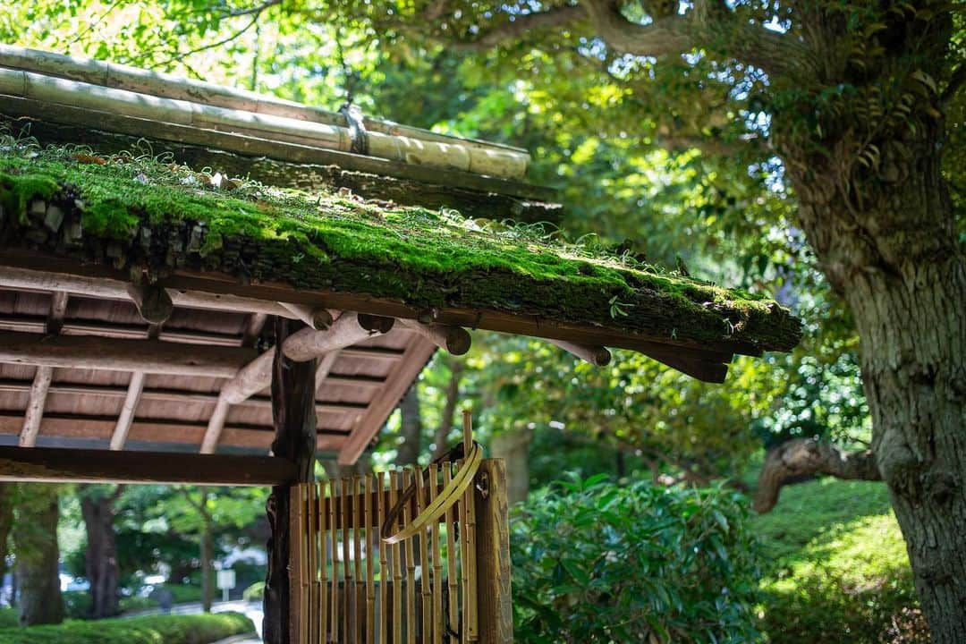 八芳園さんのインスタグラム写真 - (八芳園Instagram)「#梅雨明け を迎えた関東地方。  二十四節気では #大暑 の頃となりました。 大暑とは、一年で最も厳しい暑さが感じられる時期です。  緑に包まれた日本庭園への玄関口「木戸門」。  この門を潜るときには、少しだけ頭を下げる必要があります。  これは、「全ては礼に始まり、礼に終わる」という武士道の規範を反映し、屋根が意図的に低く建てられているためです。  「木戸門」の周りには河津桜が植えられており、早春には満開の桜に小鳥たちが訪れる華やかな景色が広がります。  四季折々の庭園の風景を、お愉しみください。  “Kidomon”, the entrance to the Japanese garden. This gate marks the entrance to our garden, but it also serves for another purpose. When you pass through this gate you will find that you will need to bow your head as the roof was deliberately built lower to reflect the Samurai Bushido code which states: “Everything starts and ends with a bow”.  The “Kidomon” is also a popular photo spot due to the Kawazu-Sakura that grow near the gate. This type of cherry tree is in full bloom from mid-February.  🍃✨🍃✨🍃  #八芳園 #結婚式場 #日本庭園 #happoen #初夏を楽しむフォトコンテスト2023  #門 #夏 #日本の四季 #二十四節気  #二十四節気 #カメラ部 #写真好きな人と繋がりたい #東京カメラ部 #その瞬間に物語を #風景写真 #日本家屋 #門   #japanesegarden #japan_of_insta #japaneseculture #gate #jp_views #special_spot #tokyo #japan_daytime_view #ig_jp #japanoinsta #japantravel #tokyotrip #tokyotokyo」7月23日 20時38分 - happoen