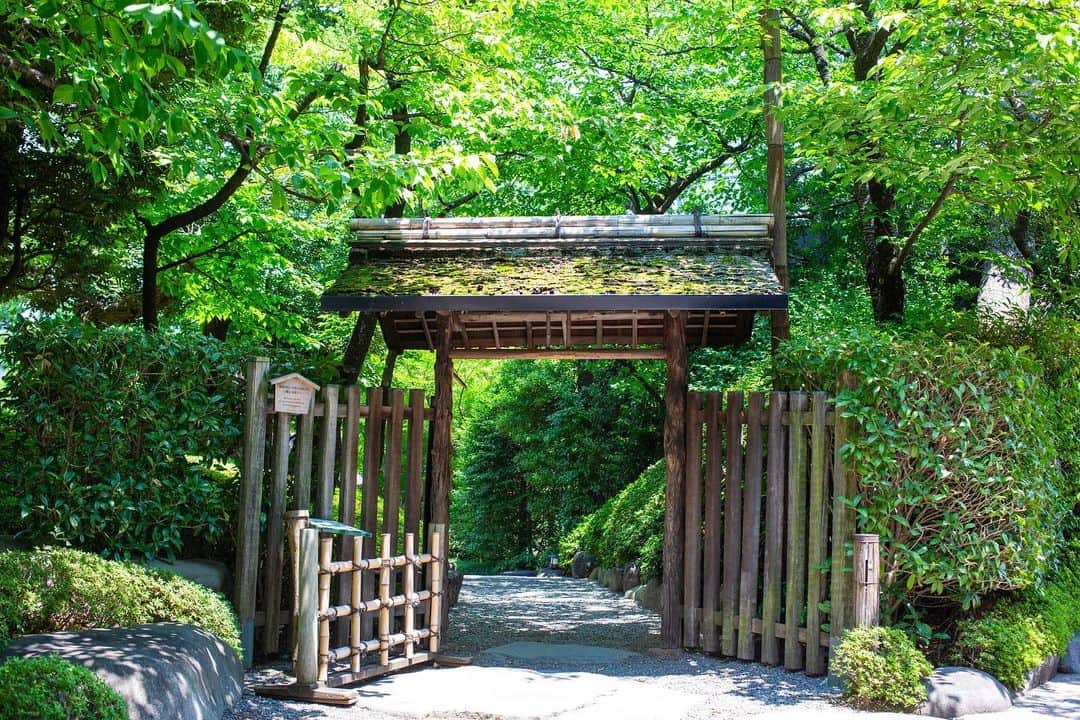 八芳園のインスタグラム：「#梅雨明け を迎えた関東地方。  二十四節気では #大暑 の頃となりました。 大暑とは、一年で最も厳しい暑さが感じられる時期です。  緑に包まれた日本庭園への玄関口「木戸門」。  この門を潜るときには、少しだけ頭を下げる必要があります。  これは、「全ては礼に始まり、礼に終わる」という武士道の規範を反映し、屋根が意図的に低く建てられているためです。  「木戸門」の周りには河津桜が植えられており、早春には満開の桜に小鳥たちが訪れる華やかな景色が広がります。  四季折々の庭園の風景を、お愉しみください。  “Kidomon”, the entrance to the Japanese garden. This gate marks the entrance to our garden, but it also serves for another purpose. When you pass through this gate you will find that you will need to bow your head as the roof was deliberately built lower to reflect the Samurai Bushido code which states: “Everything starts and ends with a bow”.  The “Kidomon” is also a popular photo spot due to the Kawazu-Sakura that grow near the gate. This type of cherry tree is in full bloom from mid-February.  🍃✨🍃✨🍃  #八芳園 #結婚式場 #日本庭園 #happoen #初夏を楽しむフォトコンテスト2023  #門 #夏 #日本の四季 #二十四節気  #二十四節気 #カメラ部 #写真好きな人と繋がりたい #東京カメラ部 #その瞬間に物語を #風景写真 #日本家屋 #門   #japanesegarden #japan_of_insta #japaneseculture #gate #jp_views #special_spot #tokyo #japan_daytime_view #ig_jp #japanoinsta #japantravel #tokyotrip #tokyotokyo」