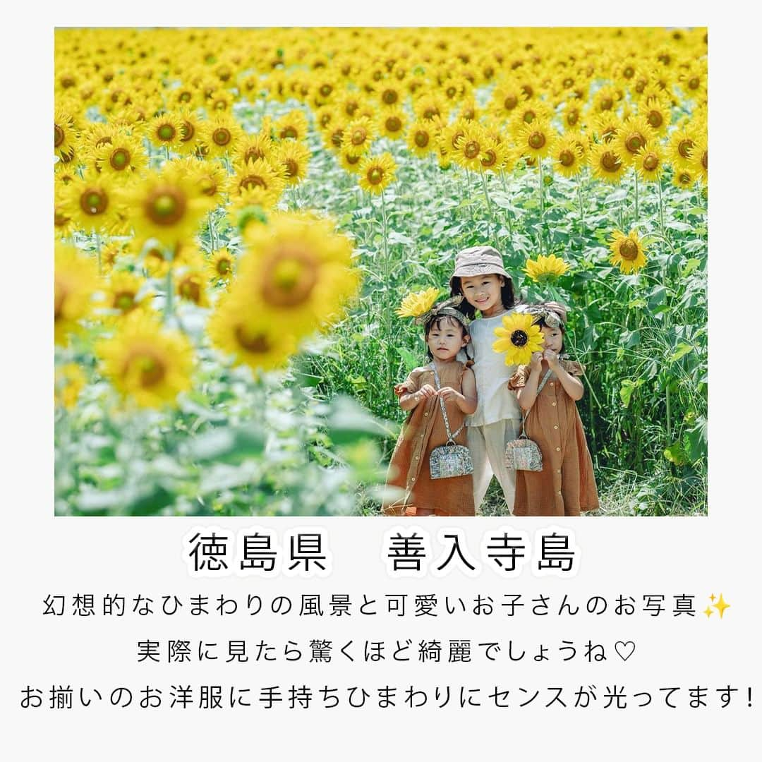 フォトリ Magazineさんのインスタグラム写真 - (フォトリ MagazineInstagram)「【ひまわり撮りにどこ行く？素敵な写真紹介！】  日本全国のひまわりを見に行きたくなりました〜！ 皆さんもぜひ、ひまわり撮影スポットのリサーチに見てみてください🎵  「参考になった！」と思った方は、いいね♡を押してい ただけると嬉しいです😍 また、撮影で参考にするときのために投稿を保存してお くと便利です♪ . . . 素敵なお写真を投稿して下さいました皆様をご紹介👏 ① @yuicchan.m さん ② @89anna_ty_ さん ③ @_______.slat さん ④ @413memories さん ⑤ @eito1022_mama さん ⑥ @yuriko_523 さん 皆様、ありがとうございました💕 . . . 「何気ない日常の中で、元気をもらえる瞬間」が撮影で きたら #写真で明日をもっと楽しく のタグをつけて、お写真投稿 してね🙆‍♀️ 投稿してくださった方の中から、紹介させていただきま す✨  --------------------------* . 👩‍👩‍👧‍👧写真で明日をもっと楽しくするオンラインサロン「フ ォトリ大学」 人数限定のオンラインコミュニティです。みんなと繋がる 、写真が上達する、アットホームな場所です🙆‍♀️ . 💪カメラマン養成講座　フォトリ大学プロ 無料体験実施中！初心者からでも安心のパーソナルトレー ニングでぐんぐん上達 . 詳しくはURLから🙆‍♀️ --------------------------*.  #一眼レフ初心者 #カメラのある生活  #ファインダー越しの世界 #その瞬間に物語を  #何気ない瞬間を残したい #ig_japan #ママカメラ  #カメラ上手くなりたい #写真上手くなりたい  #ノスタルジーな瞬間を #カメラのある生活  #ポトレのセカイ #写真教室 #レタッチ練習中  #高校生カメラマン #photography  #写真撮ってる人と繋がりたいりたい #ポートレート写  #カメラガールズ真好 #children_jp #kids_japan  #写真加工 #こどものいる暮らし  #子どもの日常をもっと写真に  #写真好きな人と繋がりたい #北浅羽桜堤  #北浅羽桜堤公園 #桜写真 #桜撮影」7月23日 21時00分 - photream_college