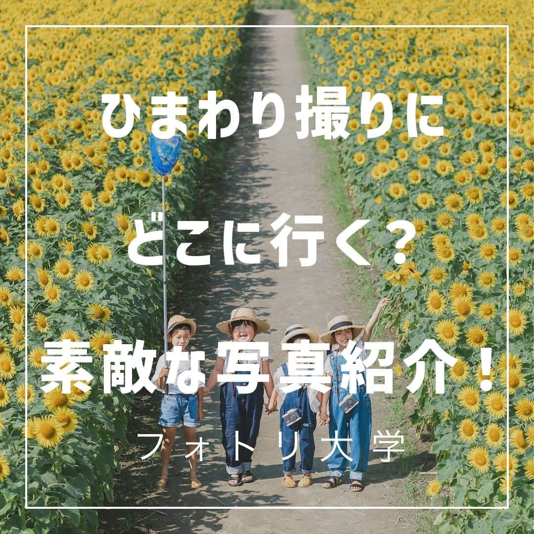 フォトリ Magazineのインスタグラム：「【ひまわり撮りにどこ行く？素敵な写真紹介！】  日本全国のひまわりを見に行きたくなりました〜！ 皆さんもぜひ、ひまわり撮影スポットのリサーチに見てみてください🎵  「参考になった！」と思った方は、いいね♡を押してい ただけると嬉しいです😍 また、撮影で参考にするときのために投稿を保存してお くと便利です♪ . . . 素敵なお写真を投稿して下さいました皆様をご紹介👏 ① @yuicchan.m さん ② @89anna_ty_ さん ③ @_______.slat さん ④ @413memories さん ⑤ @eito1022_mama さん ⑥ @yuriko_523 さん 皆様、ありがとうございました💕 . . . 「何気ない日常の中で、元気をもらえる瞬間」が撮影で きたら #写真で明日をもっと楽しく のタグをつけて、お写真投稿 してね🙆‍♀️ 投稿してくださった方の中から、紹介させていただきま す✨  --------------------------* . 👩‍👩‍👧‍👧写真で明日をもっと楽しくするオンラインサロン「フ ォトリ大学」 人数限定のオンラインコミュニティです。みんなと繋がる 、写真が上達する、アットホームな場所です🙆‍♀️ . 💪カメラマン養成講座　フォトリ大学プロ 無料体験実施中！初心者からでも安心のパーソナルトレー ニングでぐんぐん上達 . 詳しくはURLから🙆‍♀️ --------------------------*.  #一眼レフ初心者 #カメラのある生活  #ファインダー越しの世界 #その瞬間に物語を  #何気ない瞬間を残したい #ig_japan #ママカメラ  #カメラ上手くなりたい #写真上手くなりたい  #ノスタルジーな瞬間を #カメラのある生活  #ポトレのセカイ #写真教室 #レタッチ練習中  #高校生カメラマン #photography  #写真撮ってる人と繋がりたいりたい #ポートレート写  #カメラガールズ真好 #children_jp #kids_japan  #写真加工 #こどものいる暮らし  #子どもの日常をもっと写真に  #写真好きな人と繋がりたい #北浅羽桜堤  #北浅羽桜堤公園 #桜写真 #桜撮影」