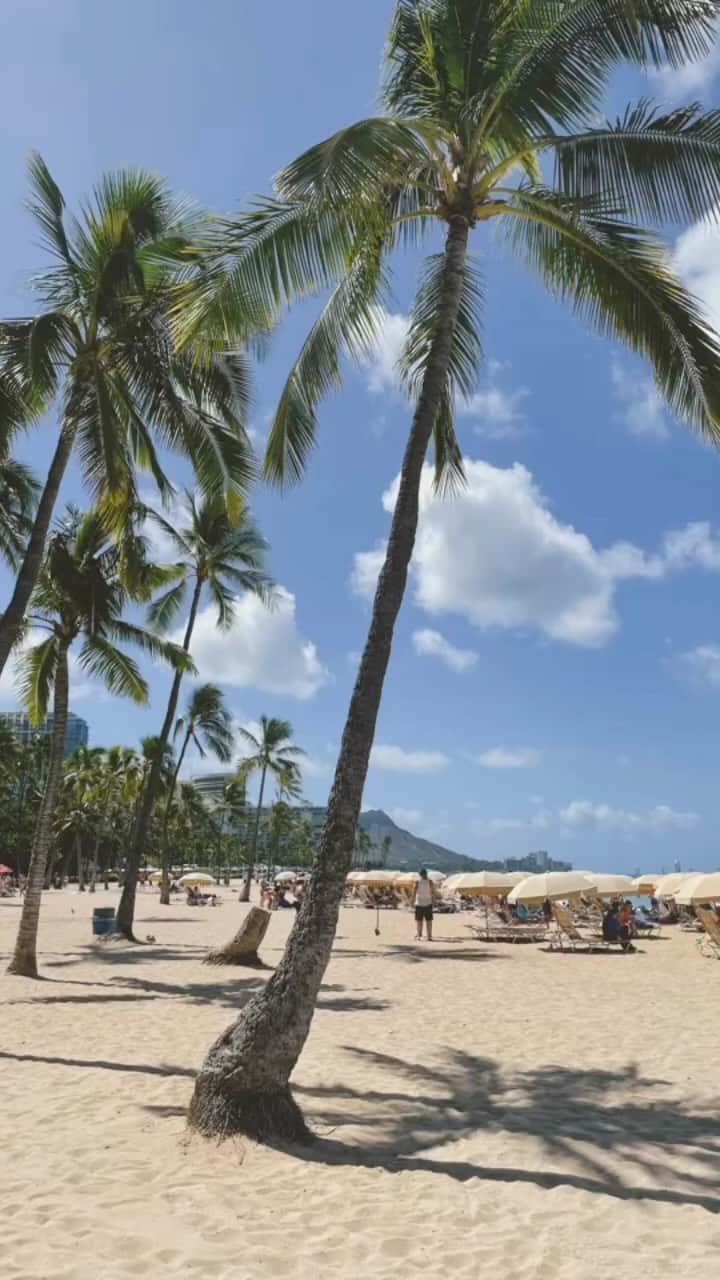 kaekoのインスタグラム：「🌈🌴👙☀️🌺  2023.june  @emika_kato  @hana_loco_72   #love  #trip #friends  #hawaii」