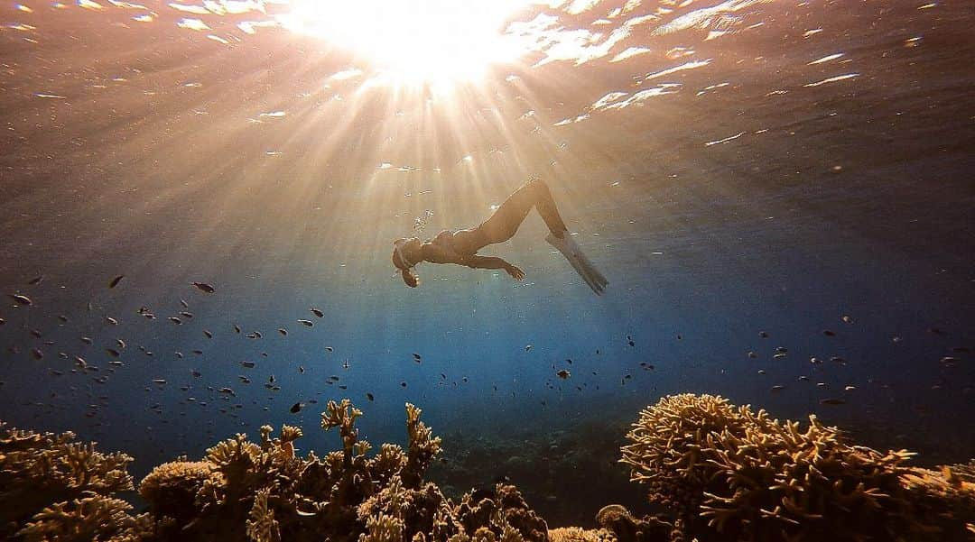 NAHOのインスタグラム：「🫧🫧🫧🫧🧜🏾‍♀️🫧🫧🫧🫧 . . 海の中の浮遊感、無重力感の感覚がすごくすき。🌏♡ . photo by @okayu_oki 📷 thank you🪸♡ . . . #nature #NAHO #okinawa #zamami #zamamiisland #schnorchel #earth #coralreef #photography #沖縄移住 #沖縄 #座間味 #座間味島 #水中撮影 #シュノーケル #島暮らし #離島暮らし #自然 #海 #海のある生活 #大好きな海」