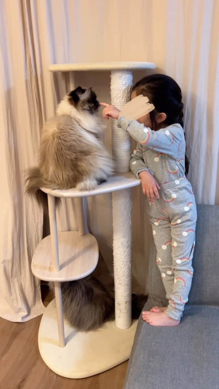 のインスタグラム：「我が家は基本お家では部屋着🏠👚🩳👧🏻 だから可愛いパジャマは常にチェックしてる👀  @peterhaus.official　娘が選んだ可愛い虹色のパジャマ🌈 これもコットン100%😌👏 少し大きめを選んでも裾を折って長く使えちゃう🥹🫶🩳✨  #キッズ #パジャマ #子供服 #キッズパジャマ #かわいいパジャマ #子供パ ジャマ #子供ルームウェア」