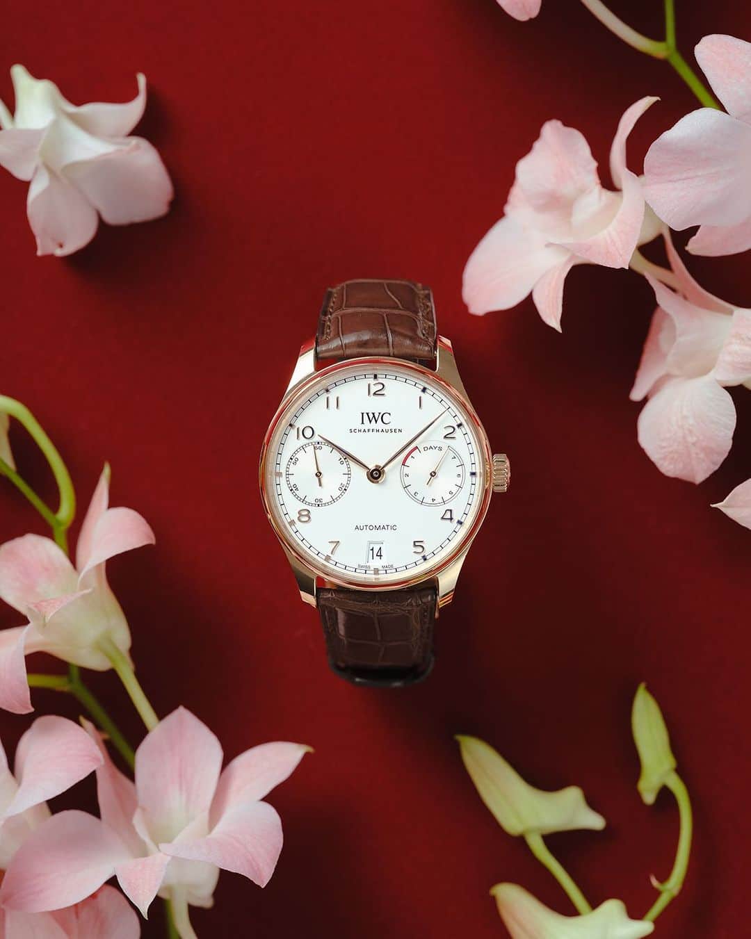 IWC Schaffhausen - Japanのインスタグラム