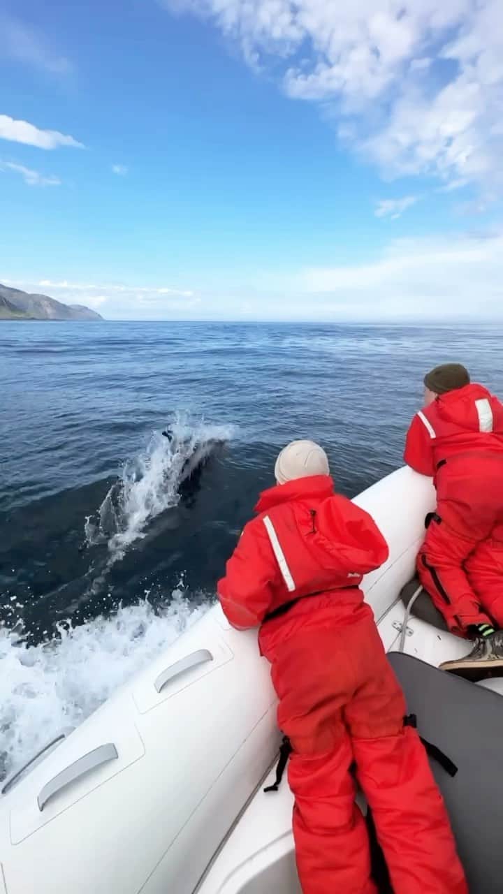 クリス・バーカードのインスタグラム：「I wish summer in Iceland could last forever. I spent a few magical days in the Eastfjords visiting old friends and exploring the coast outside Seydisfjordur. Even saw a few Porpoises swimming alongside our boat.  @exploringseydisfjordur」