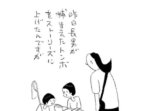 ケイタイモのインスタグラム