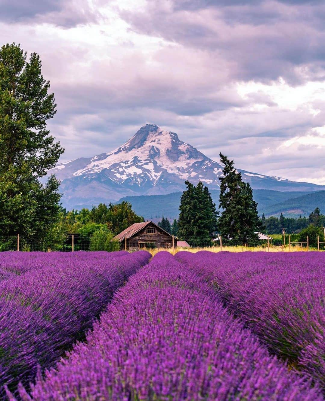 Portlandさんのインスタグラム写真 - (PortlandInstagram)「What Oregon is all about 🫶  #oregon #travel #pnw #portland #pdx #oregonlife 📸 @n1ck_on」7月24日 3時45分 - portland