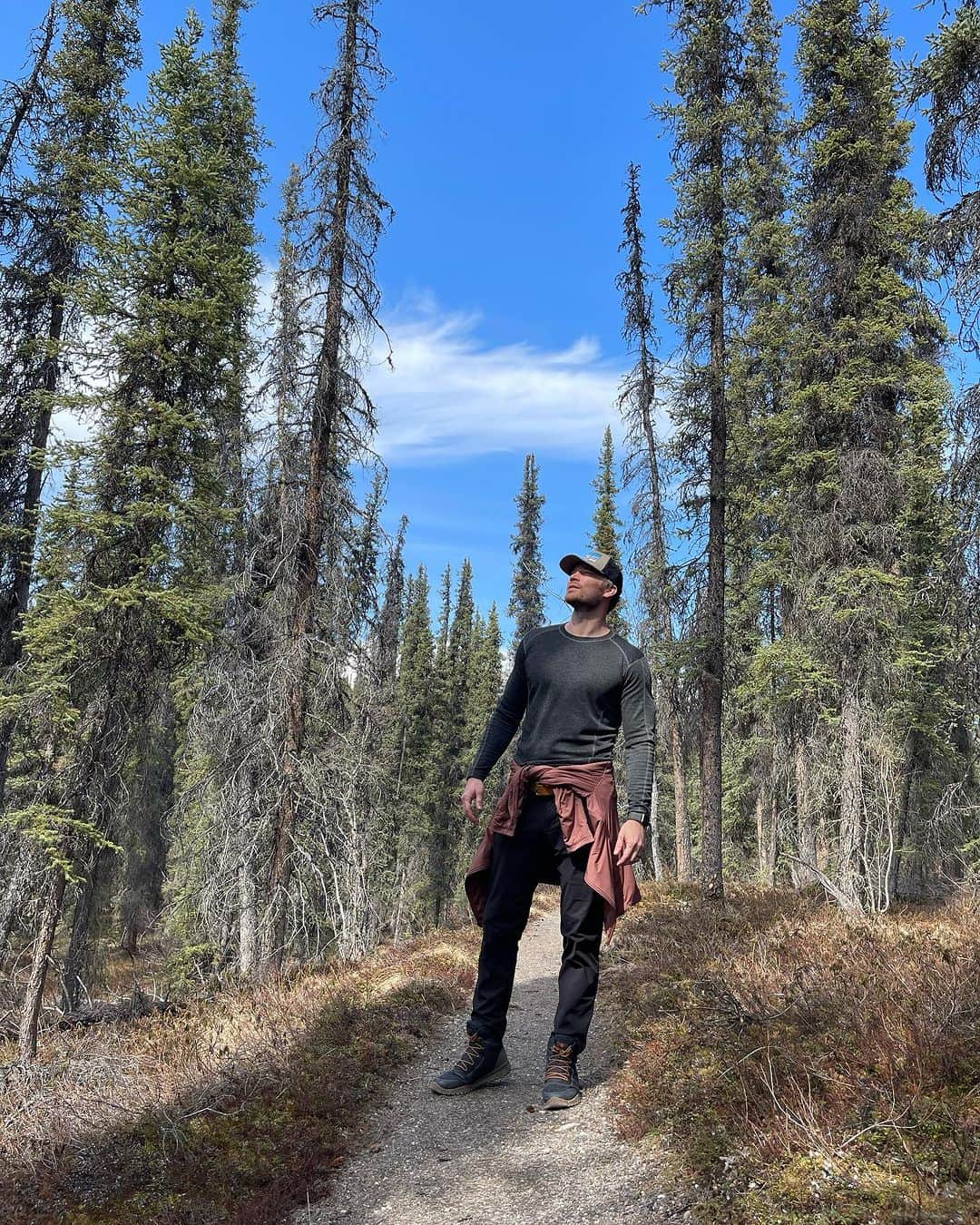 デレック・テラーさんのインスタグラム写真 - (デレック・テラーInstagram)「Hiking in Grizzly country 🐻  Denali did not disappoint! Amazing wilderness. Some of these marks could have been moose as well.」7月24日 3時55分 - derektheler