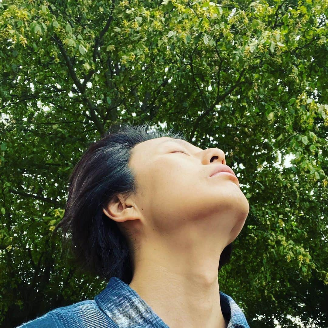 荒木宏文さんのインスタグラム写真 - (荒木宏文Instagram)「森林浴🍃」7月24日 5時14分 - araki_hiro0614