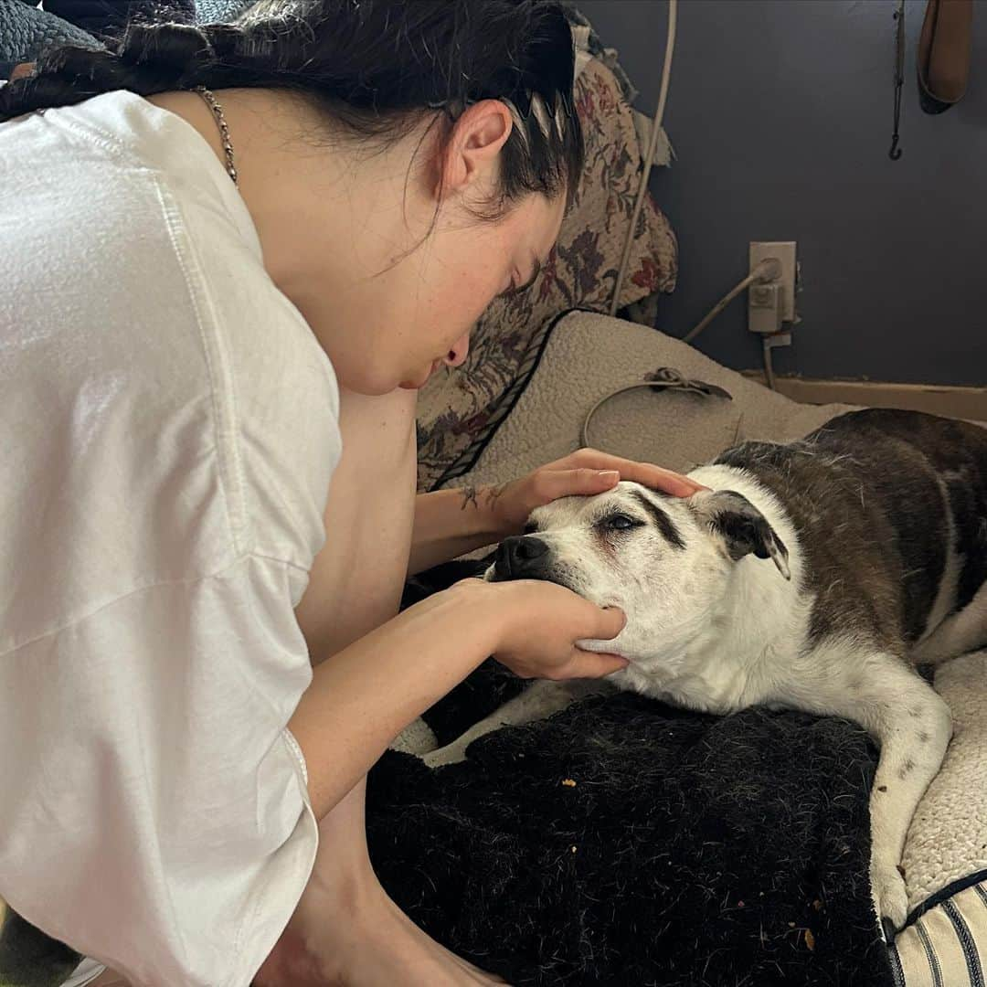 ビリー・アイリッシュさんのインスタグラム写真 - (ビリー・アイリッシュInstagram)「pepper. my life long best friend. i will see you again someday sweet girl. you made it 15 years you fucking beast. :’) i love you. rest easy mama, i’ll miss you forever.🫀this is a really hard day」7月24日 5時48分 - billieeilish